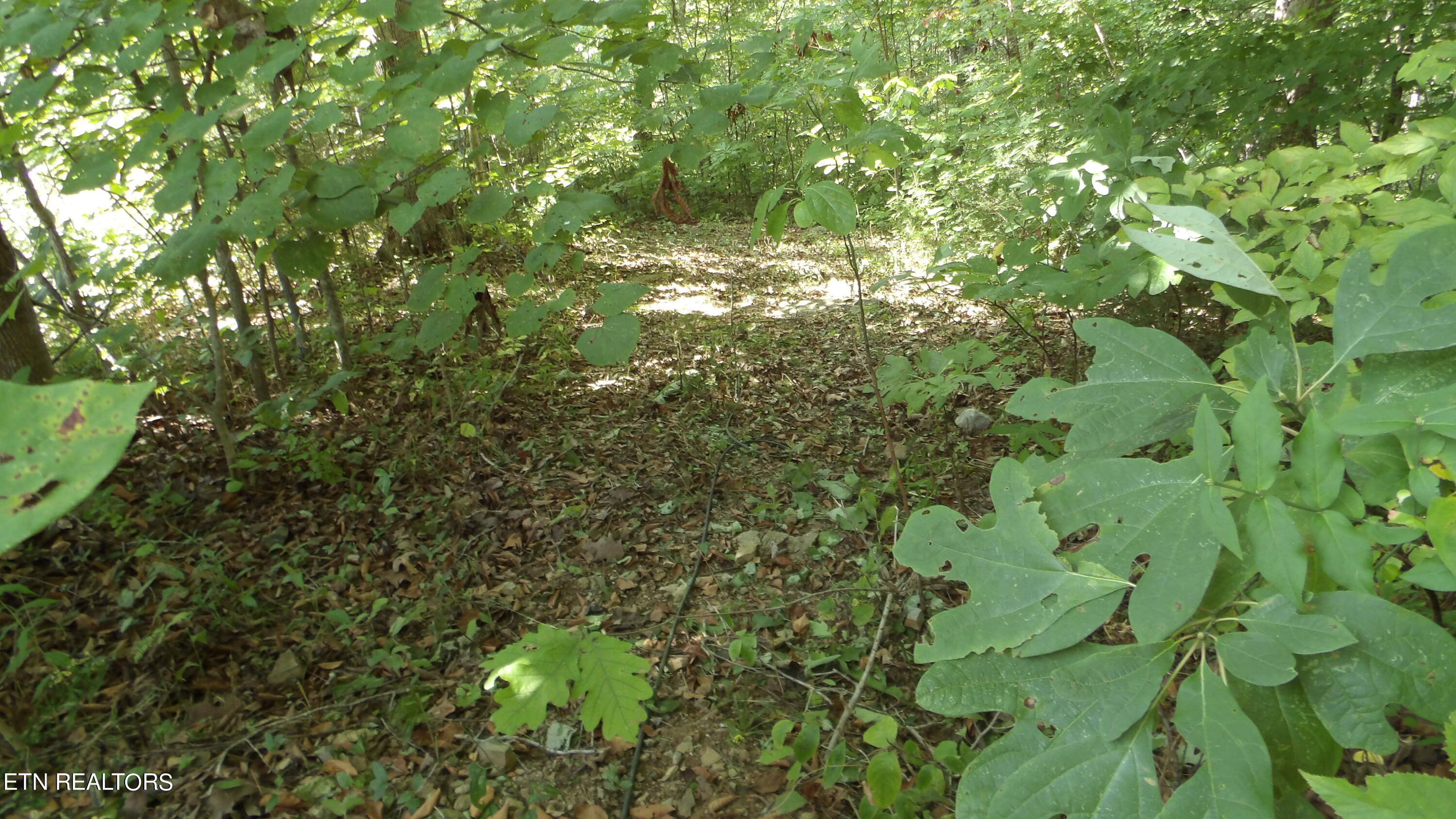 4179 Old Livingston Hwy Property Photo 24