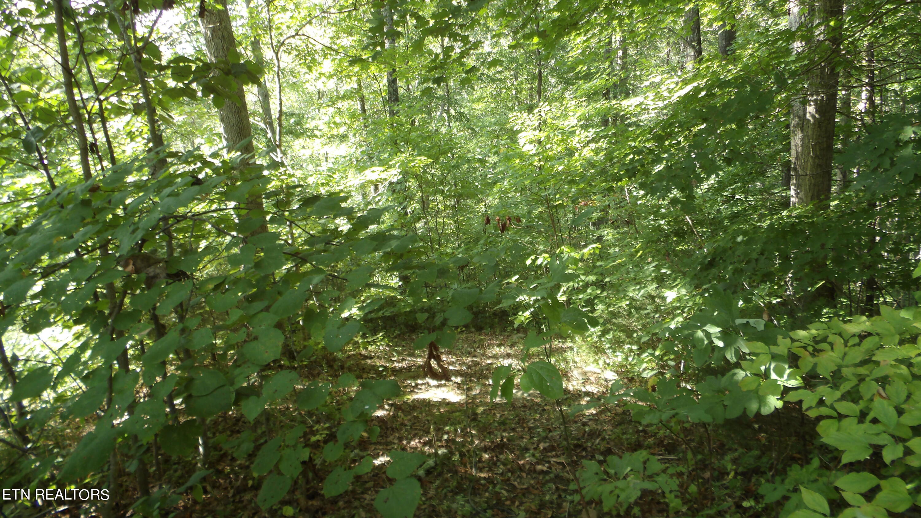 4179 Old Livingston Hwy Property Photo 27