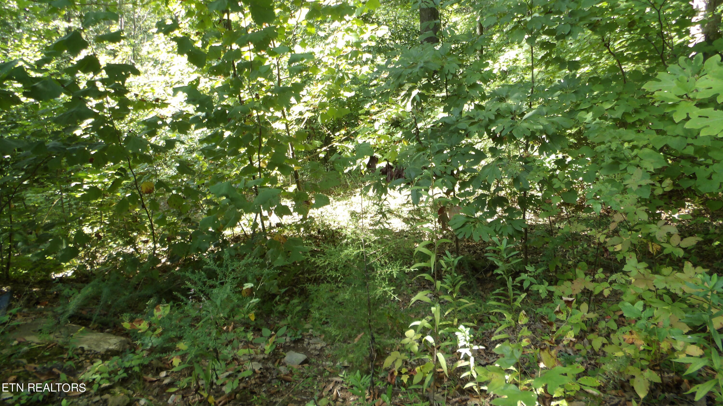 4179 Old Livingston Hwy Property Photo 28