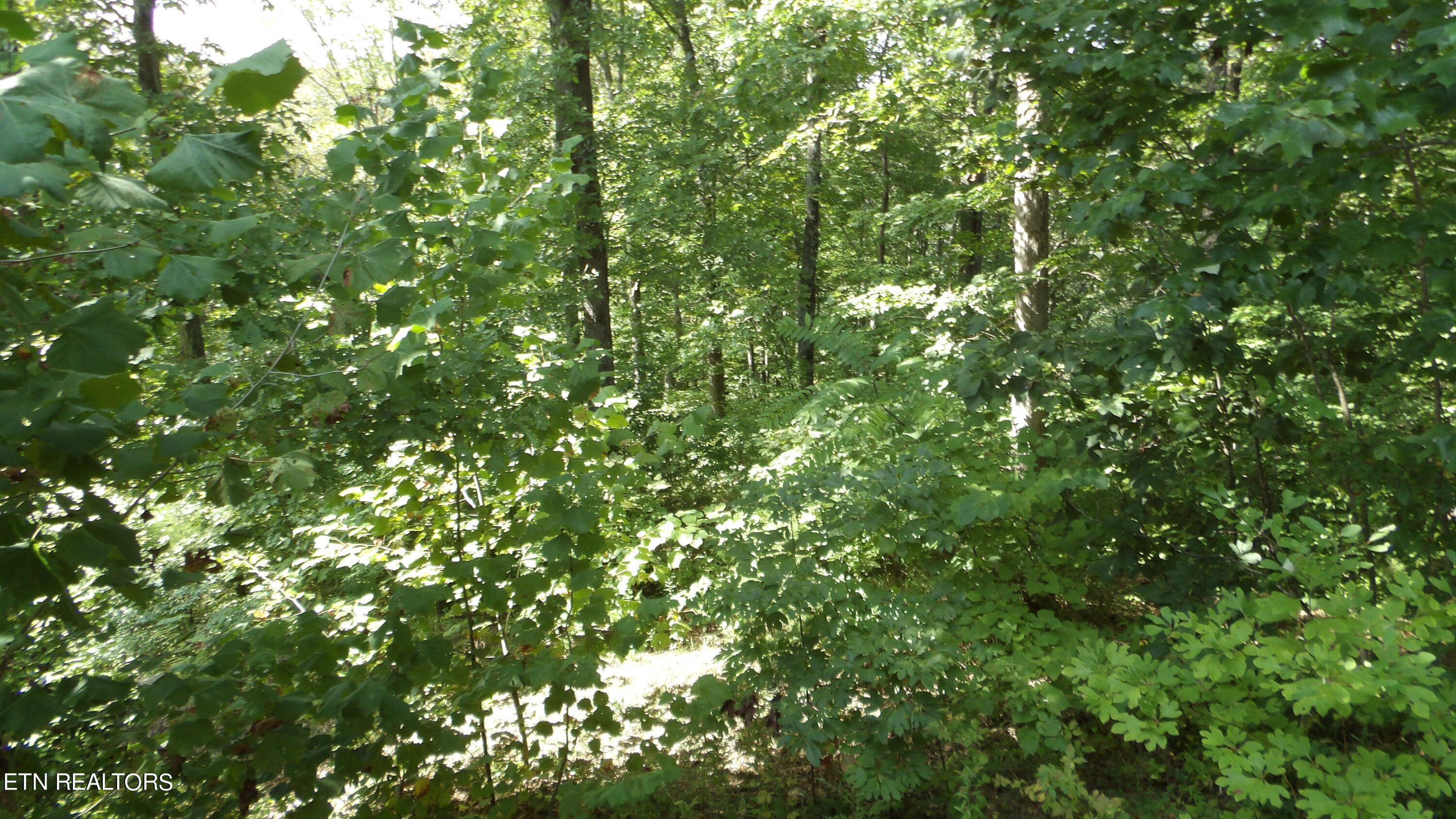 4179 Old Livingston Hwy Property Photo 30