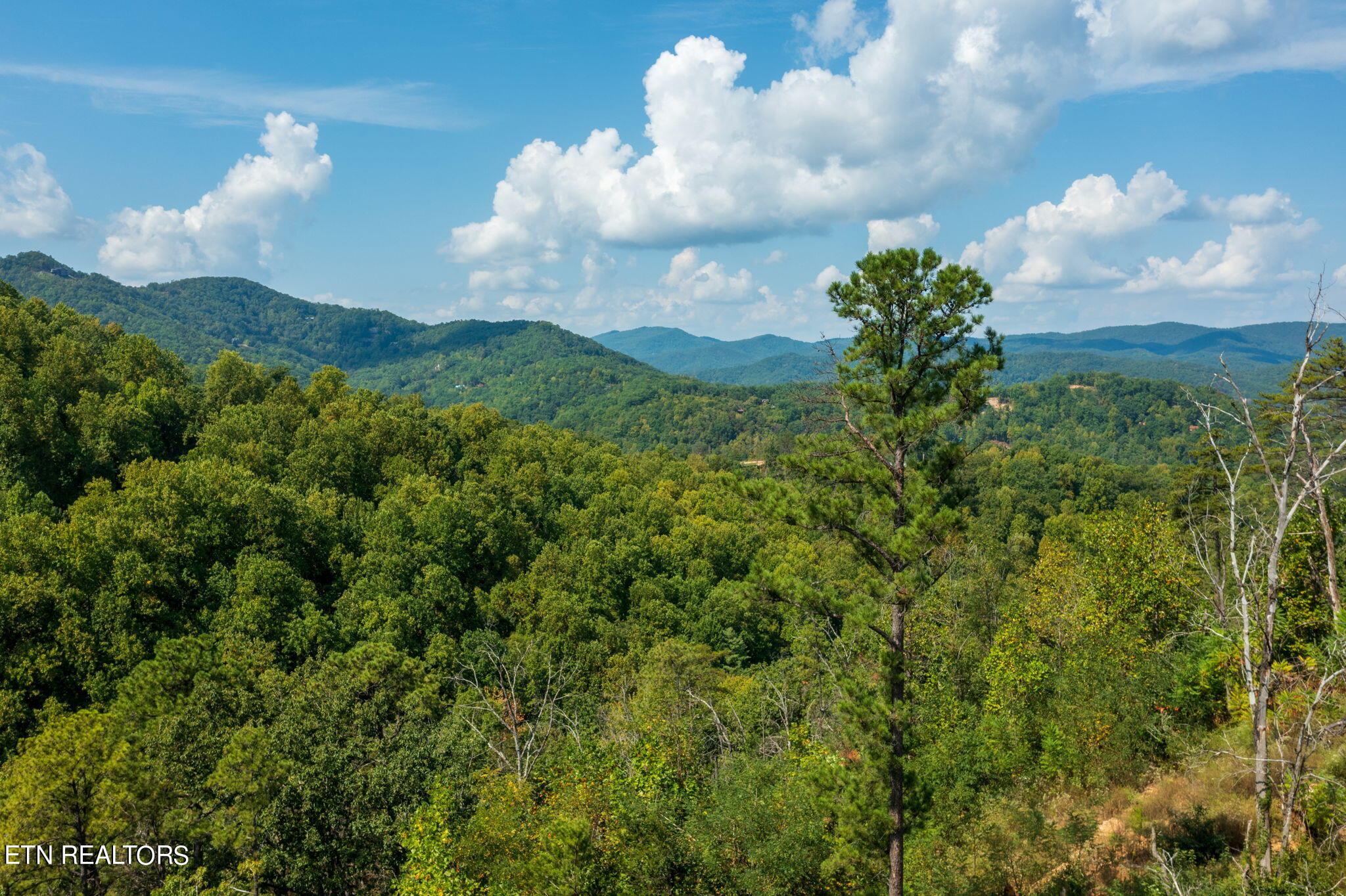 3217 Emerald Springs Loop Property Photo