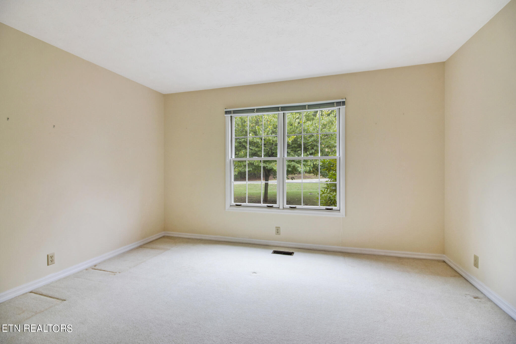45 Bingham Lane Property Photo 29