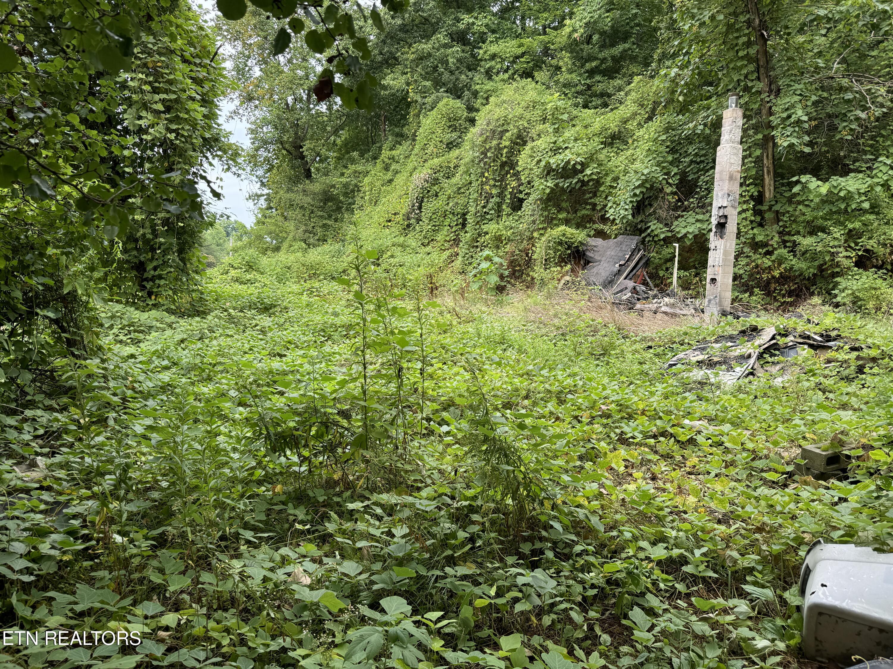 229 Martin Hollow Rd Property Photo