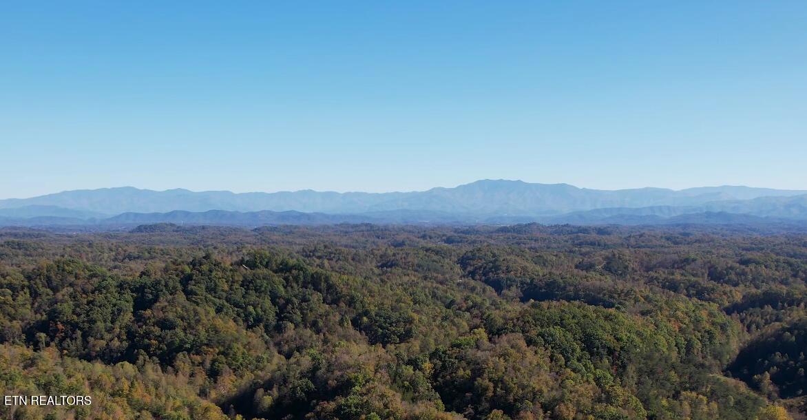 1040 Loop Rd Property Photo 6