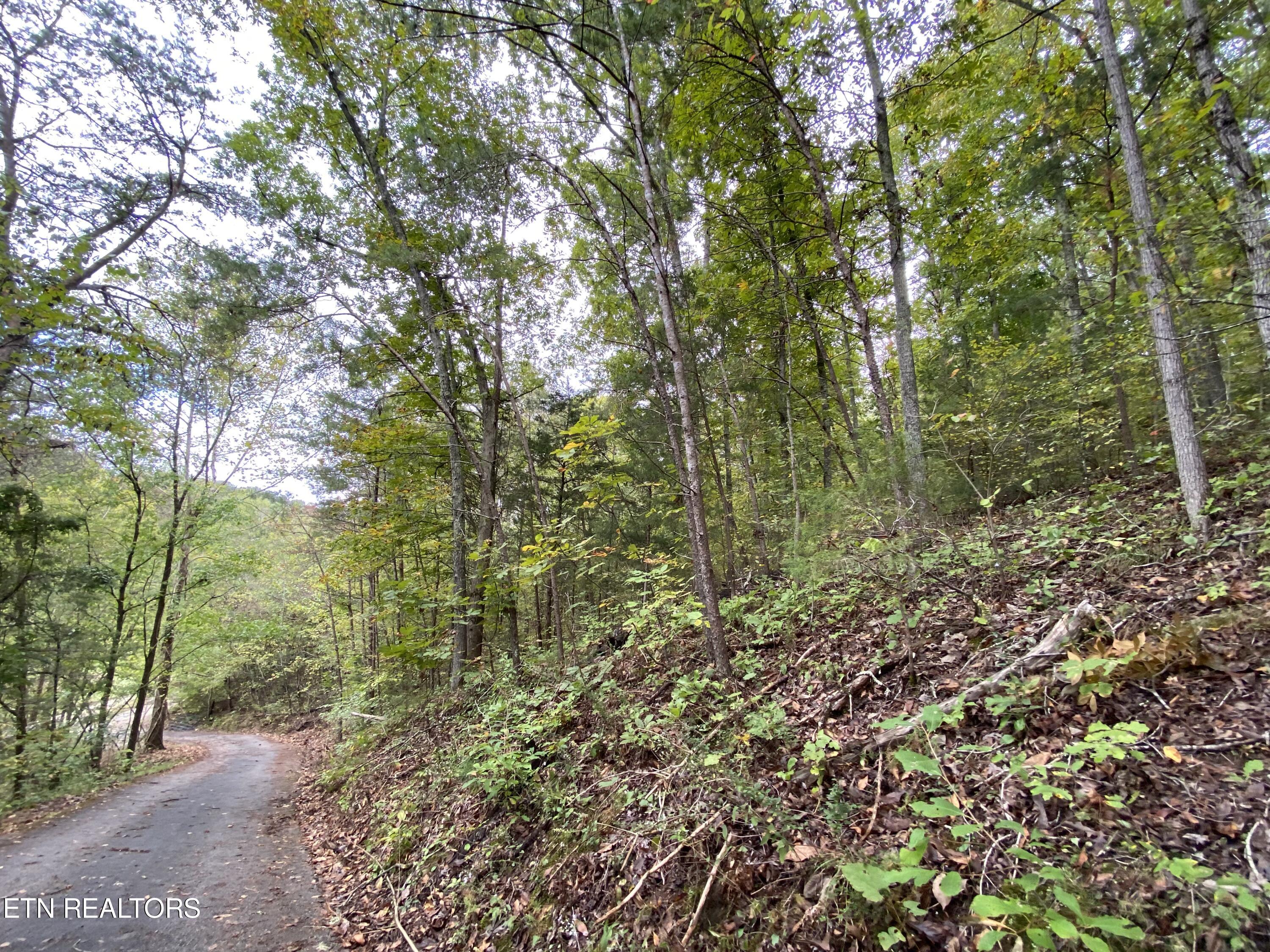 1040 Loop Rd Property Photo 50