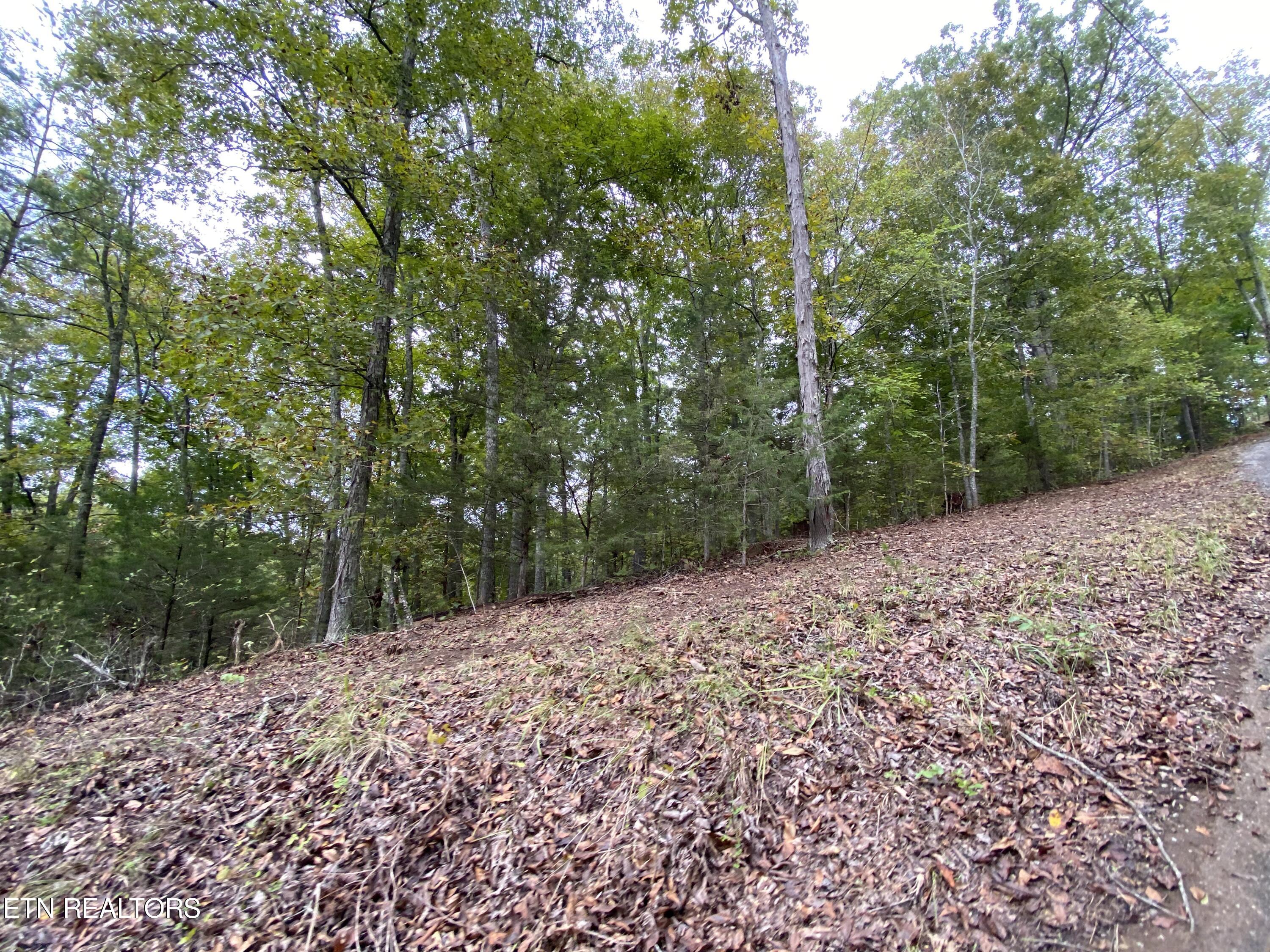 1040 Loop Rd Property Photo 51