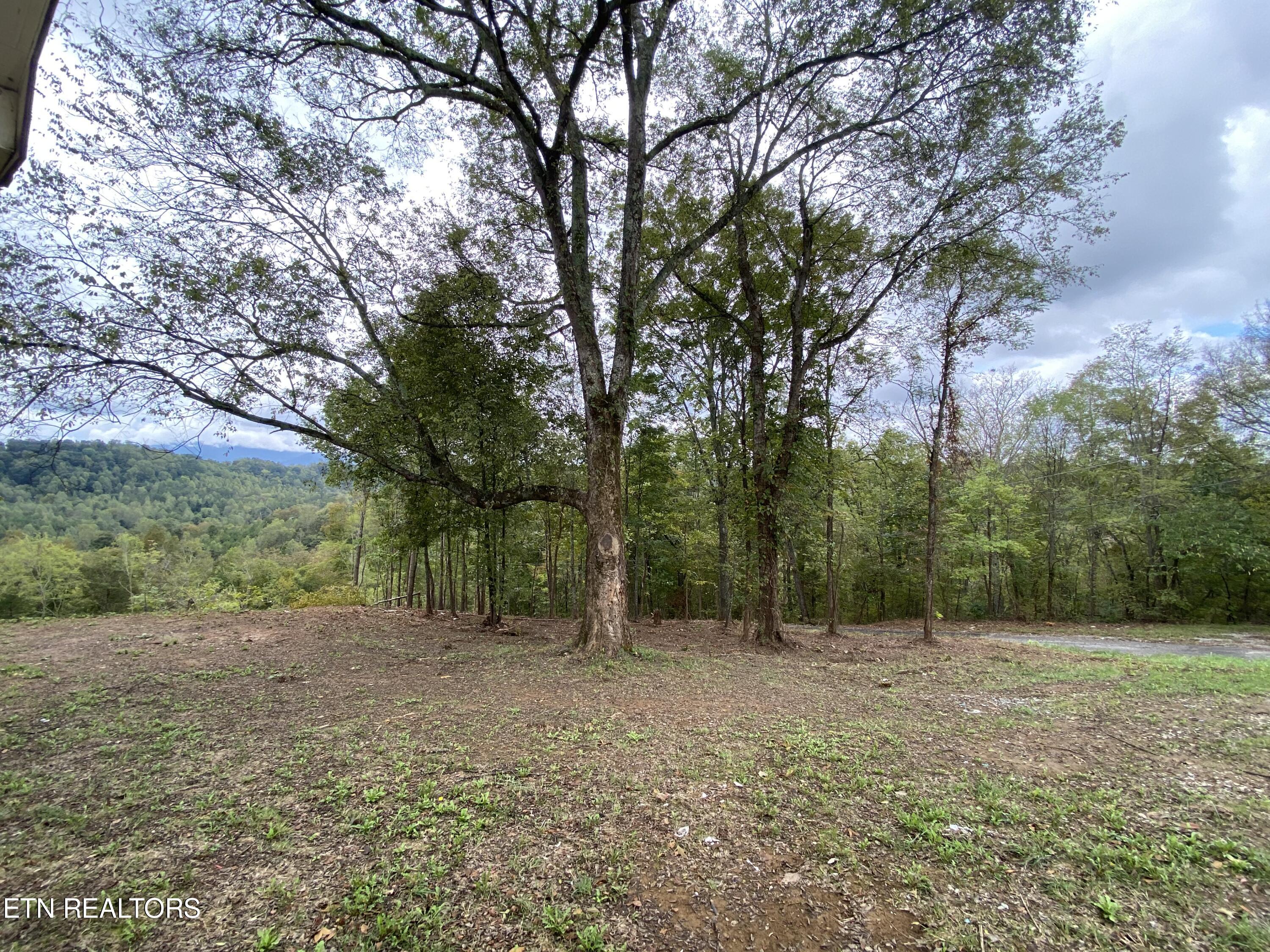 1040 Loop Rd Property Photo 53