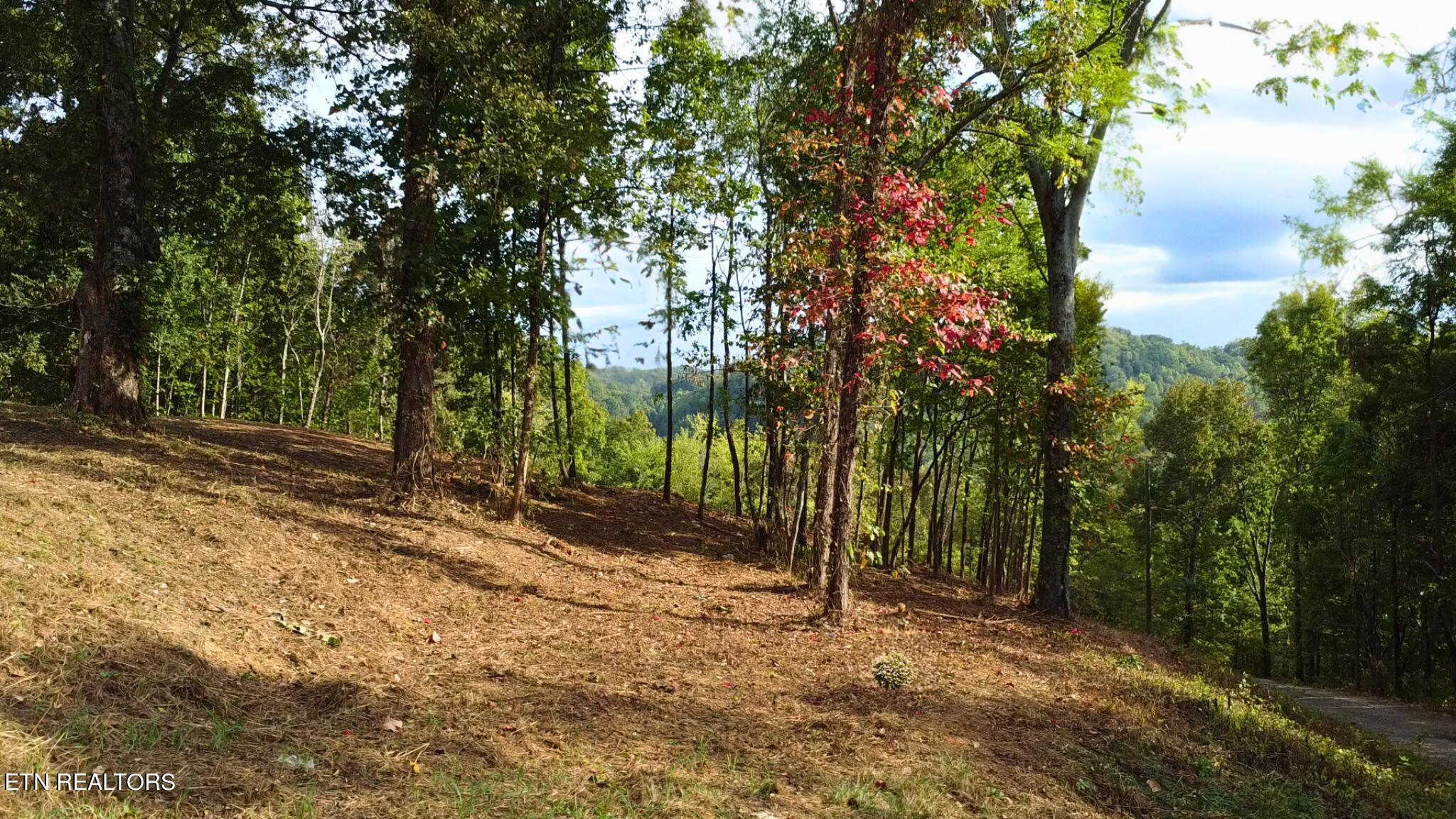 1040 Loop Rd Property Photo 54