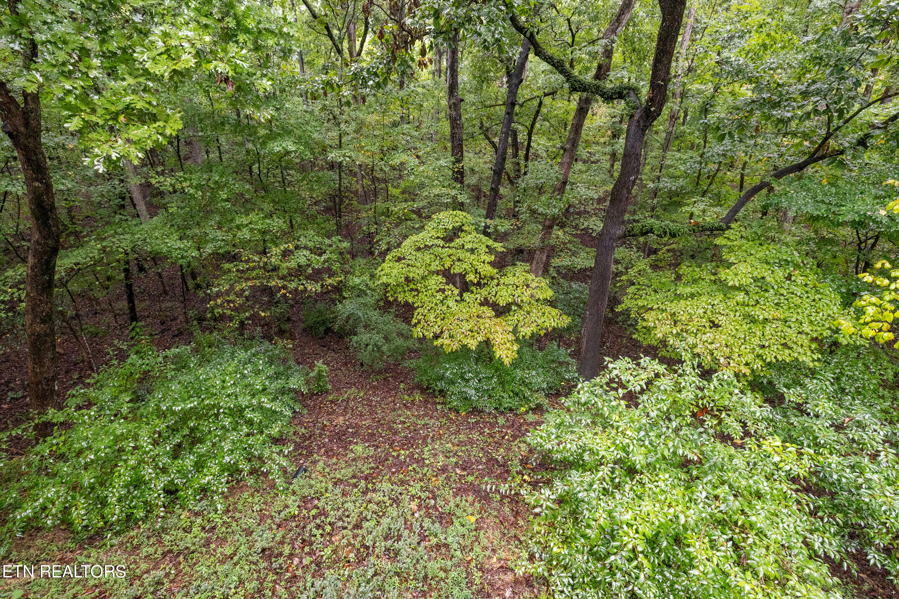 122 Vinita Lane Property Photo 24