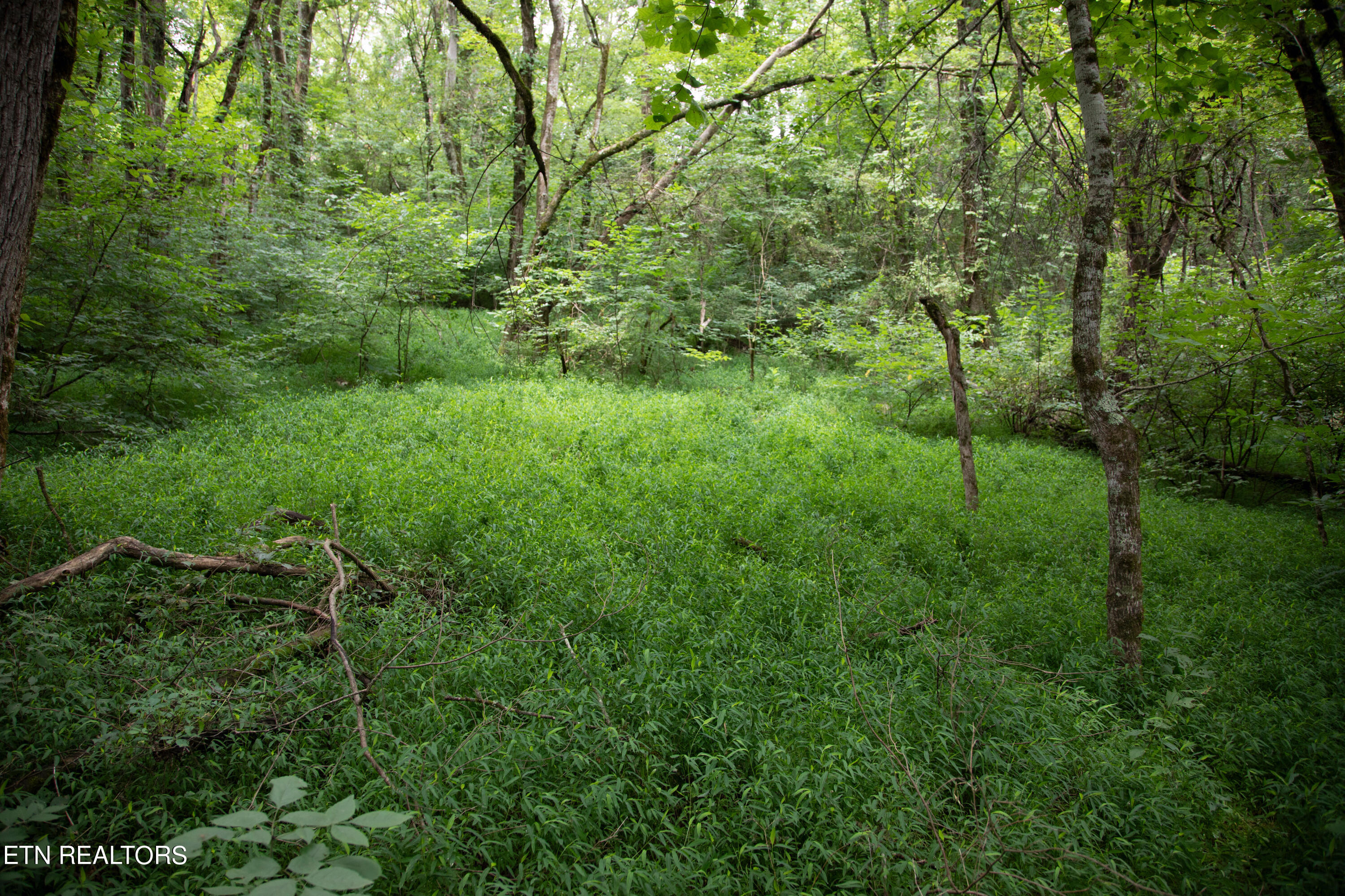 0 Scenic View Drive Property Photo 2