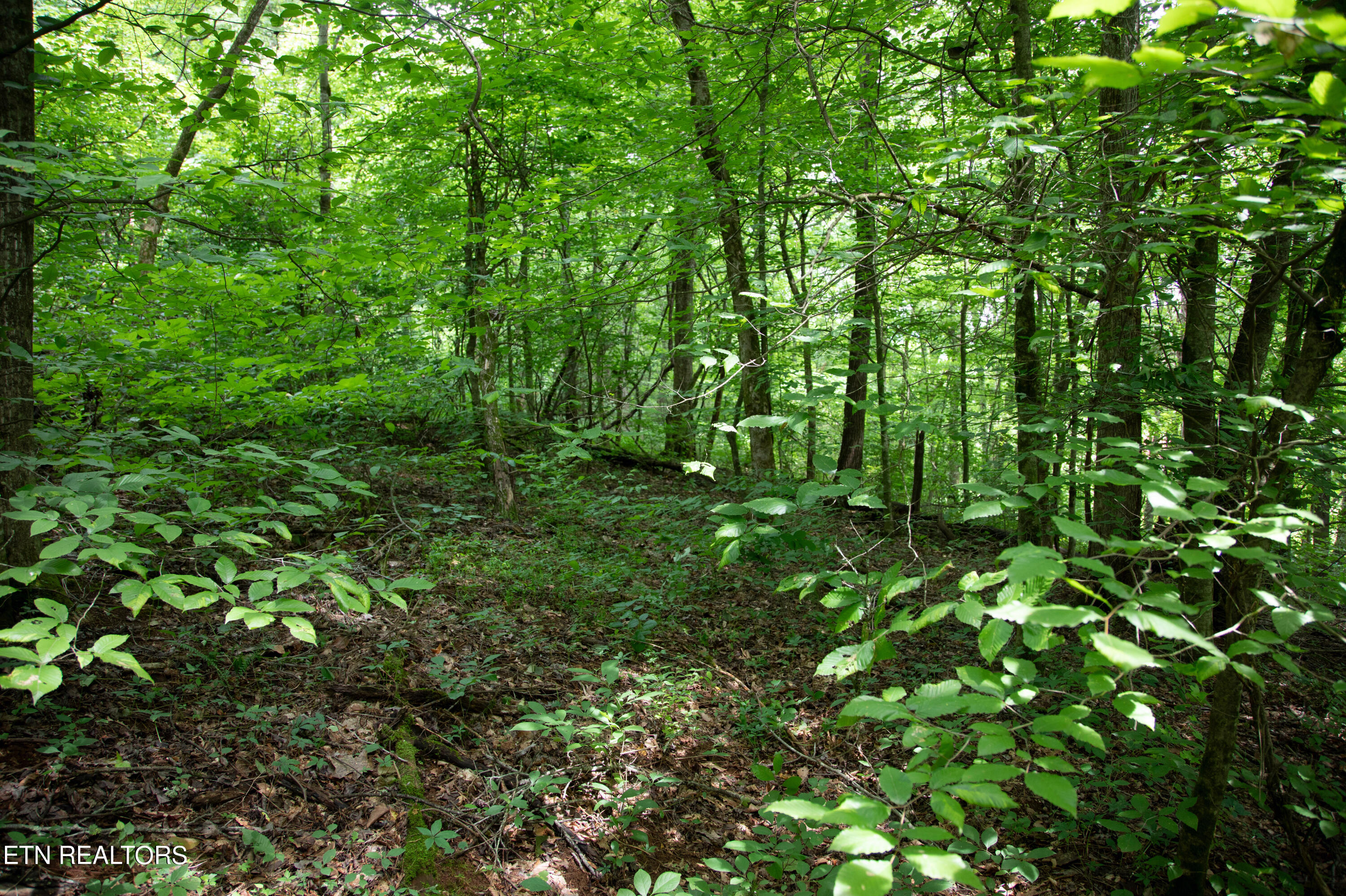 0 Scenic View Drive Property Photo 3