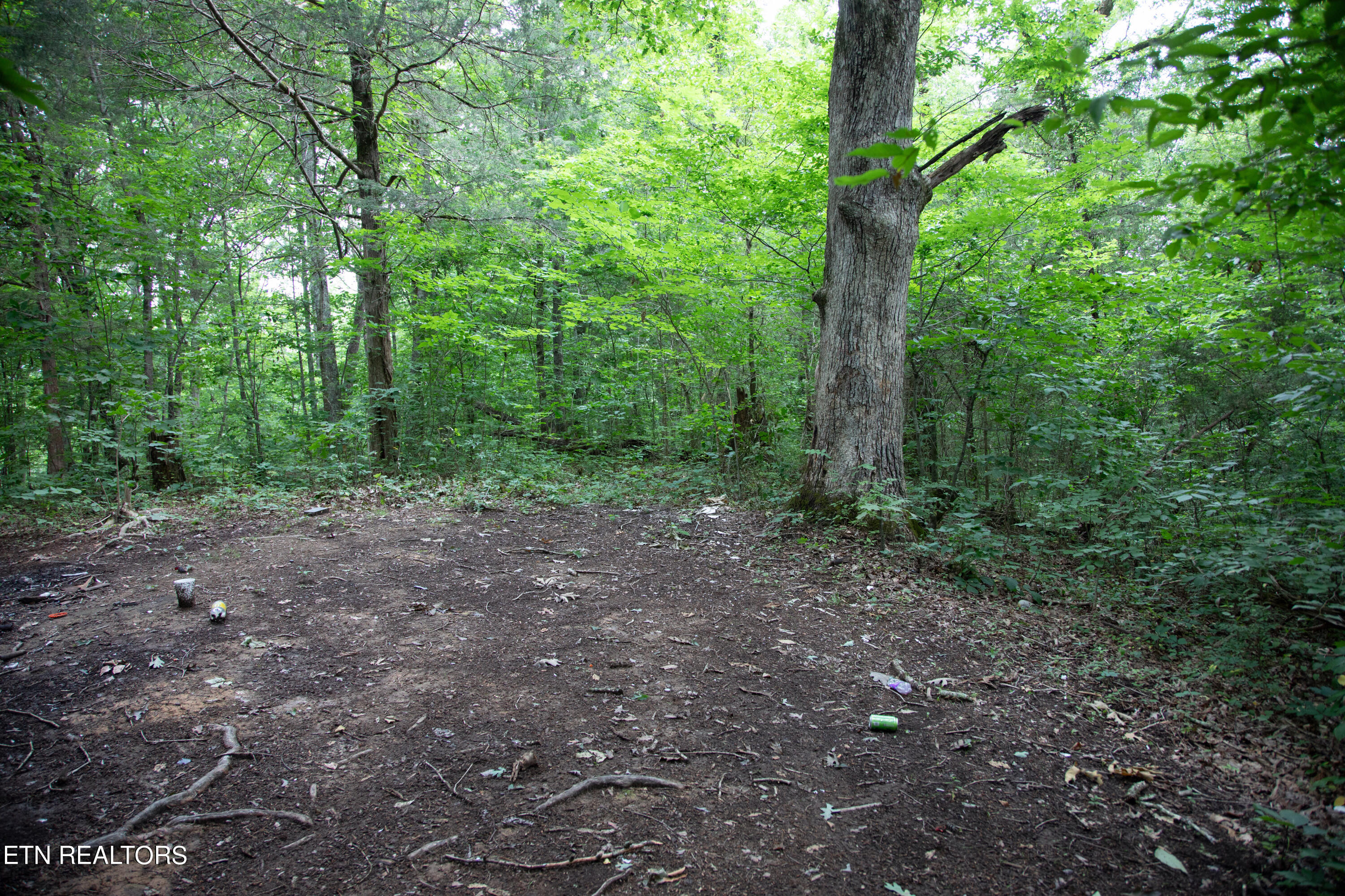 0 Scenic View Drive Property Photo 4