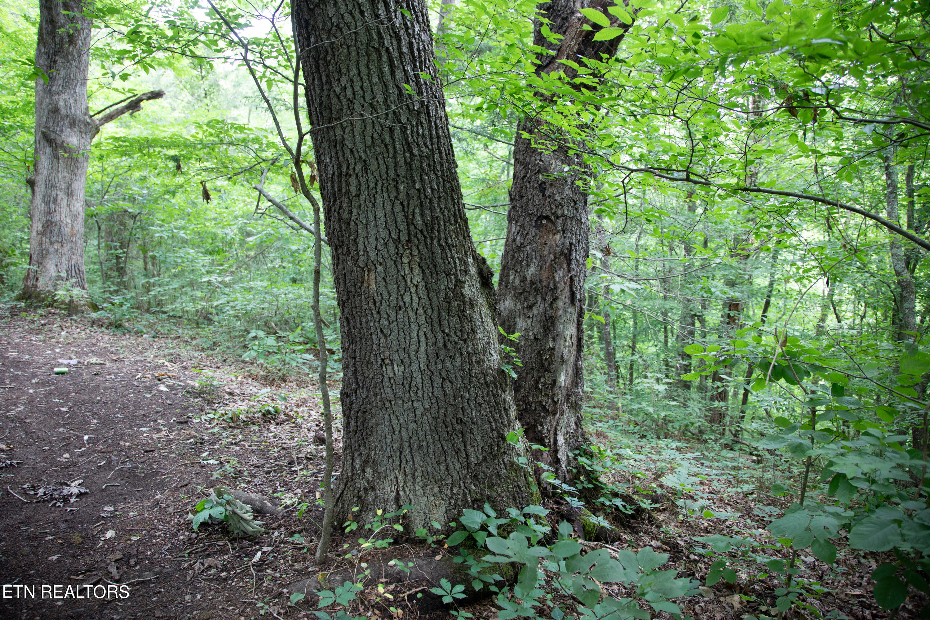 0 Scenic View Drive Property Photo 5