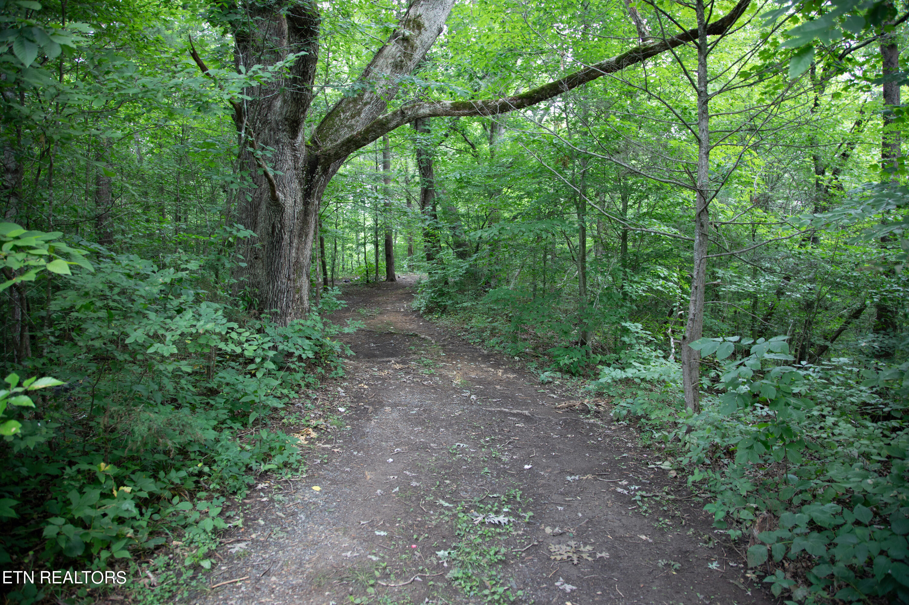 0 Scenic View Drive Property Photo 6