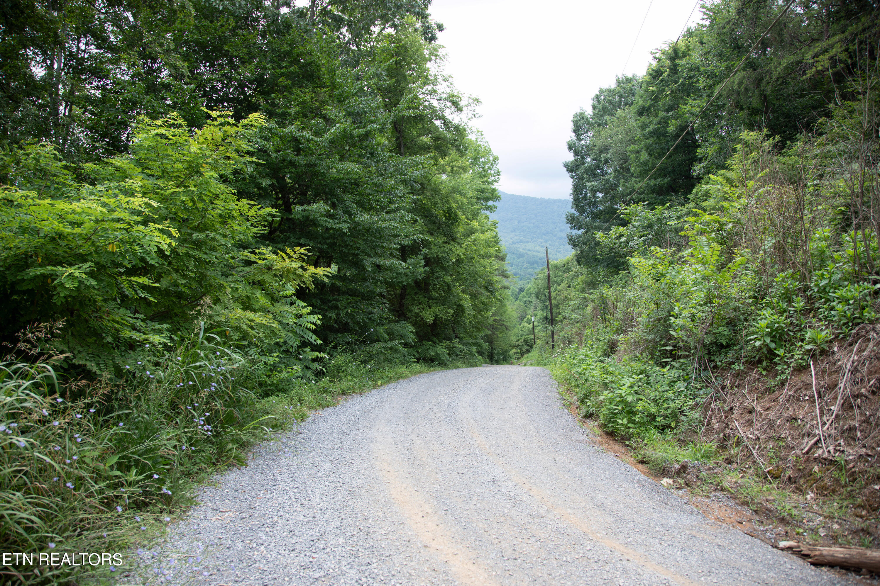 0 Scenic View Drive Property Photo 7