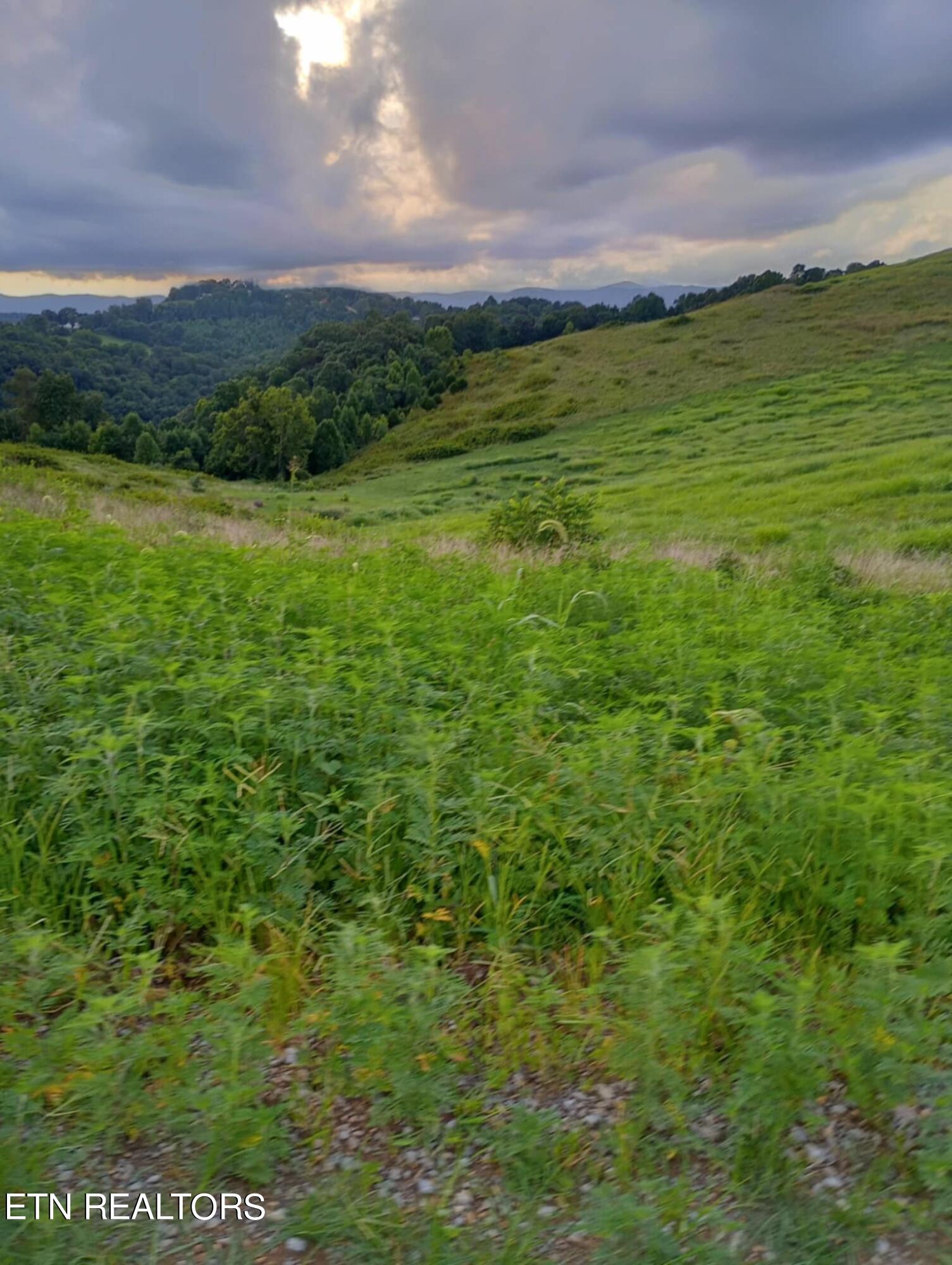 Lot # 8 King Bend Road Property Photo 3