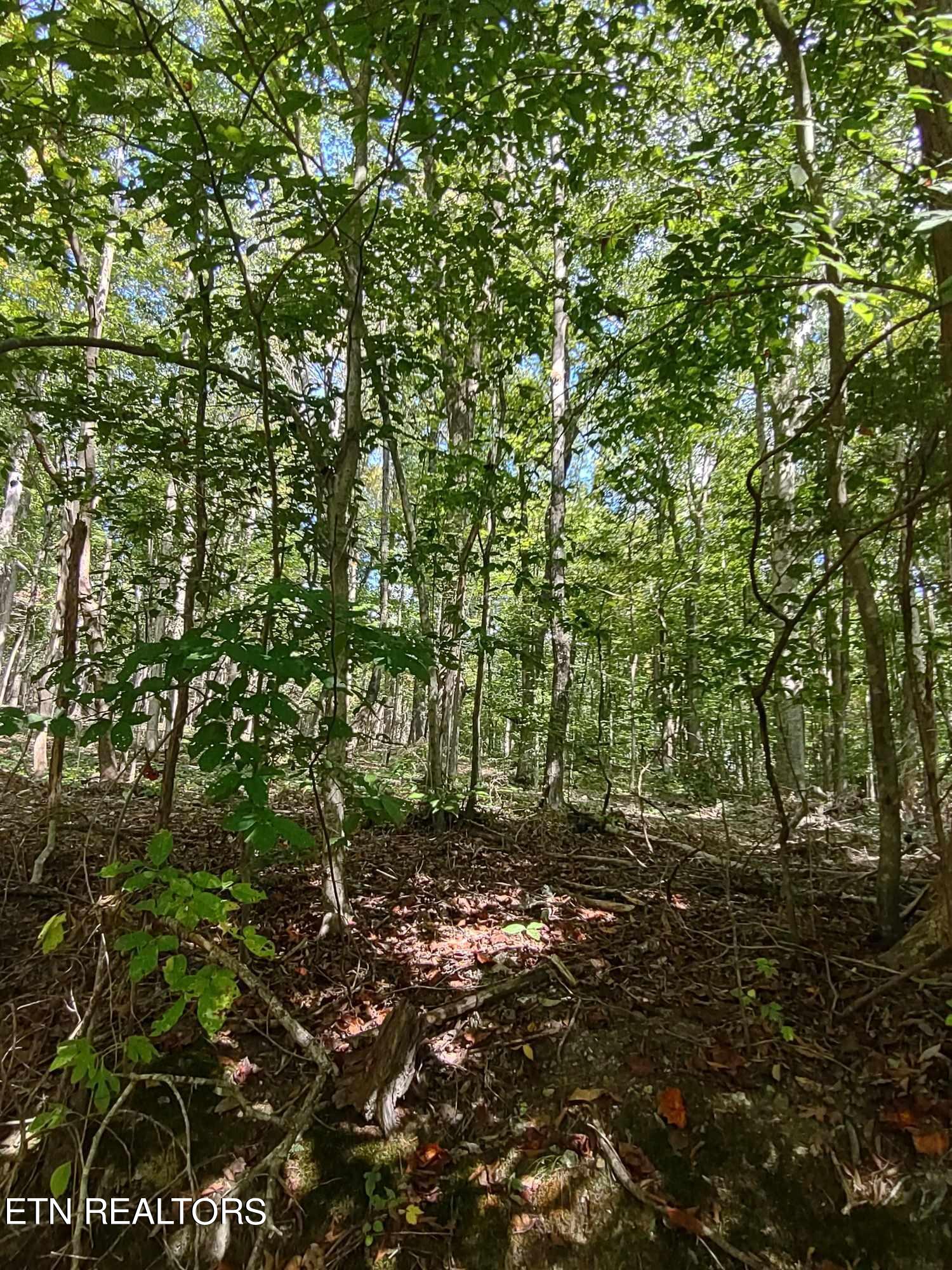 Hueston Wood Lane Property Photo 2