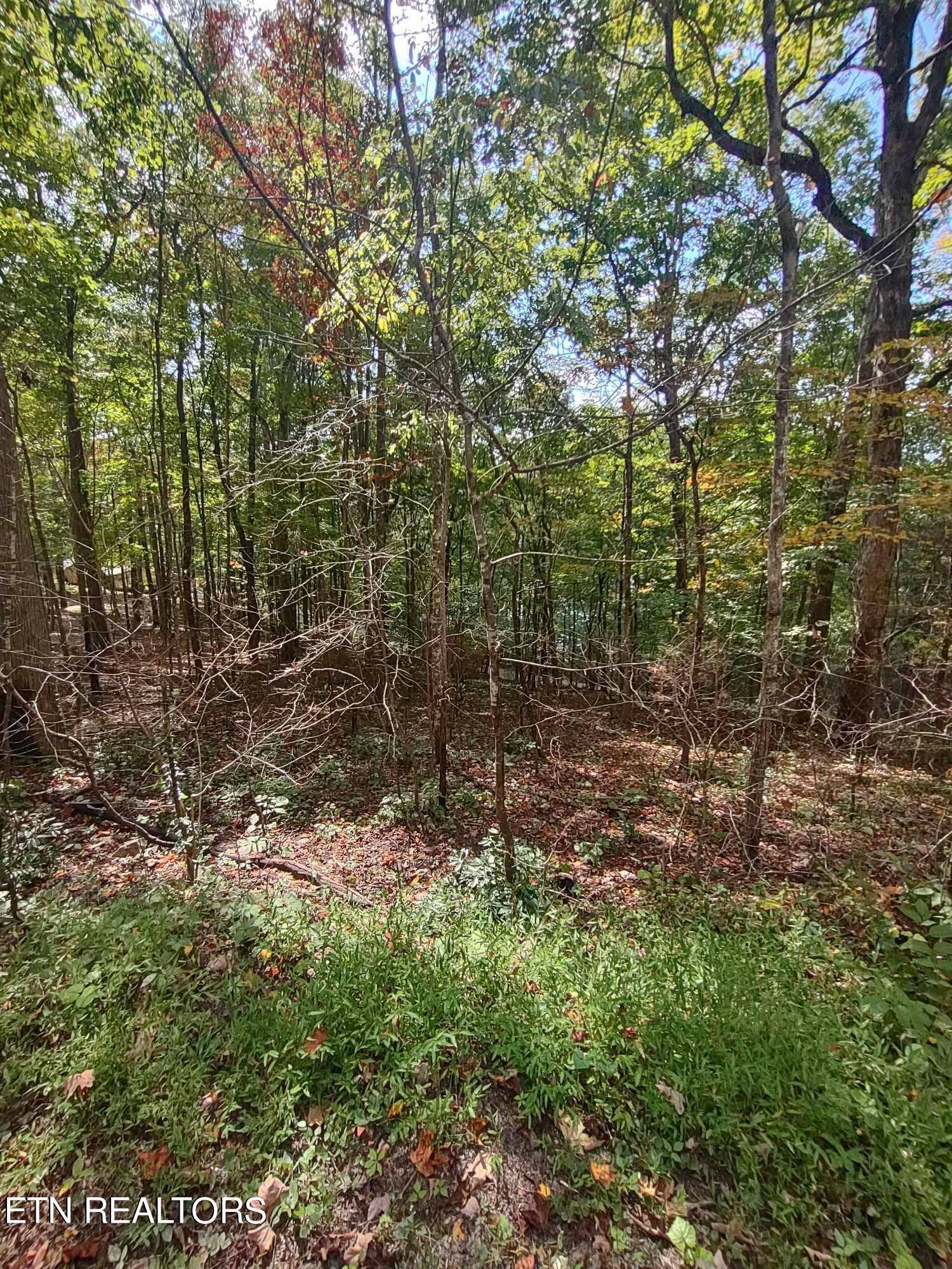 Hueston Wood Lane Property Photo 1