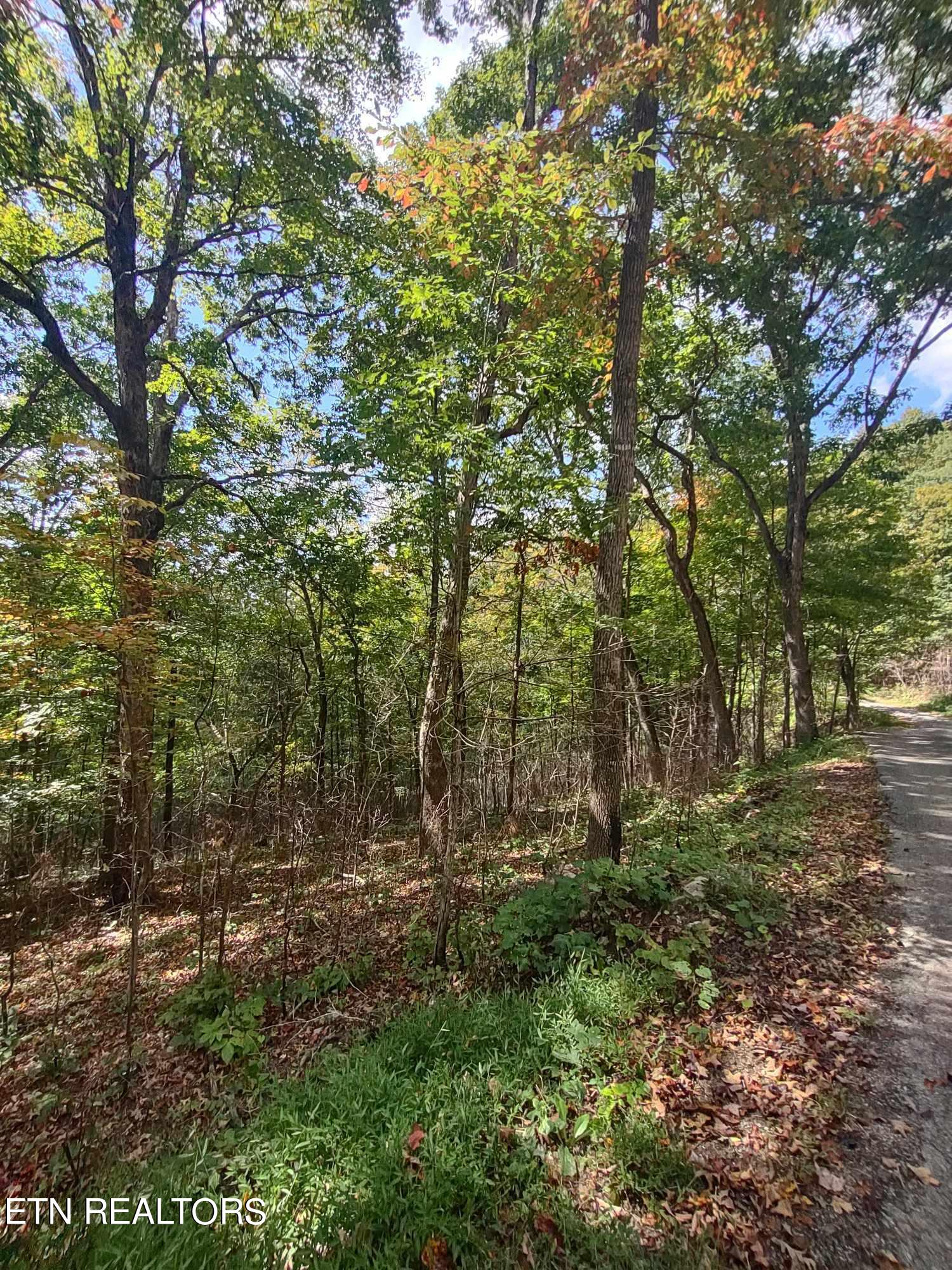 Hueston Wood Lane Property Photo 2