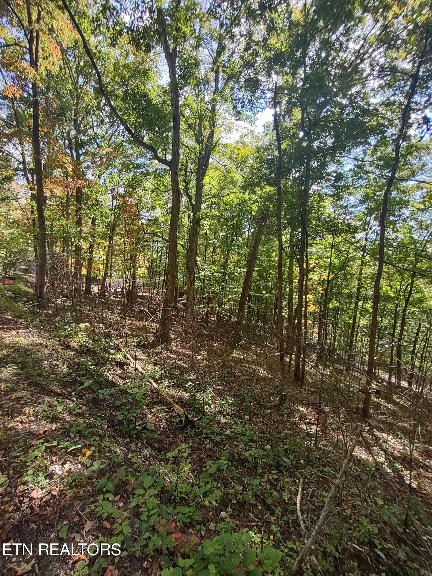 Hueston Wood Lane Property Photo 3