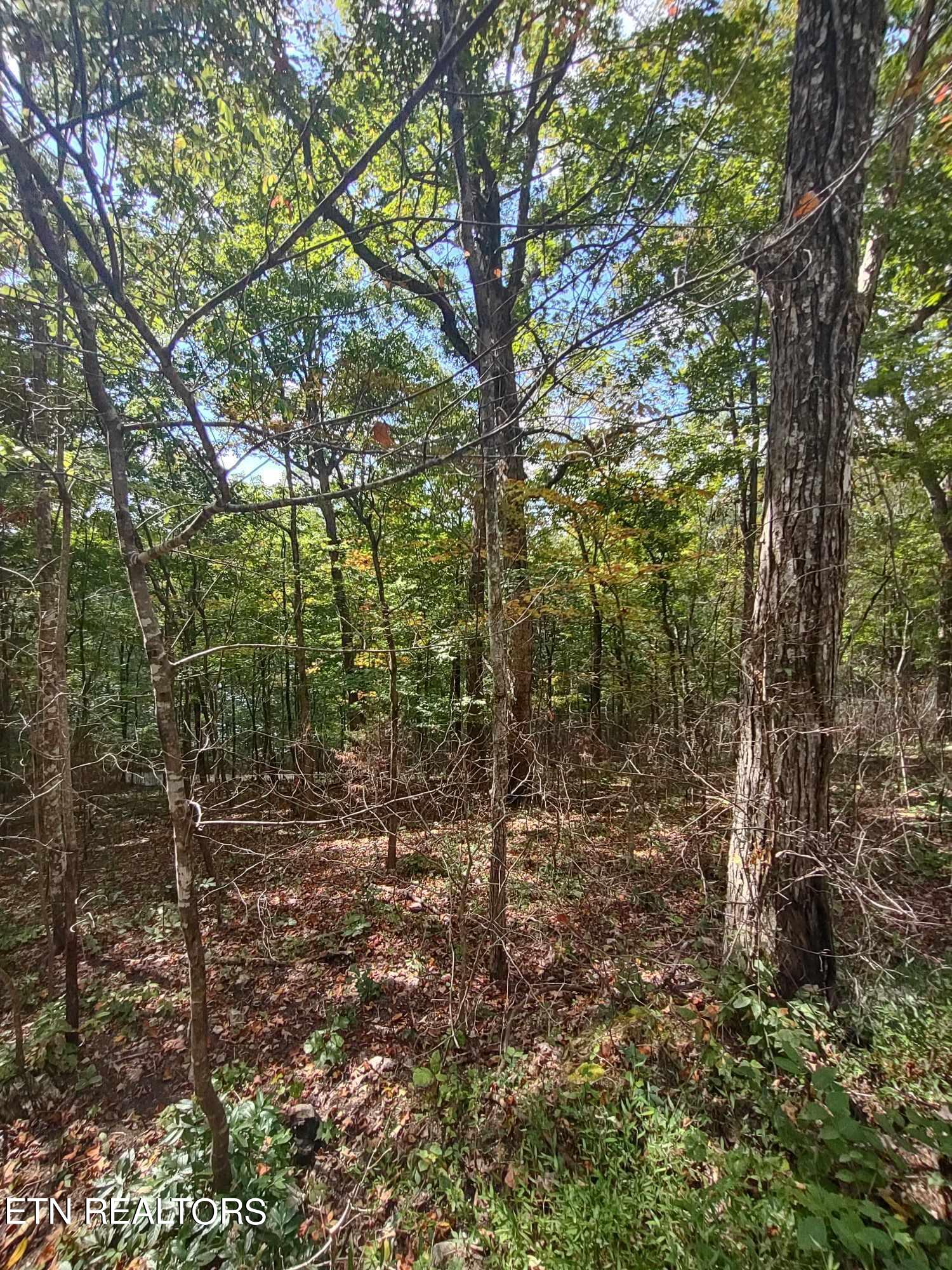 Hueston Wood Lane Property Photo 8