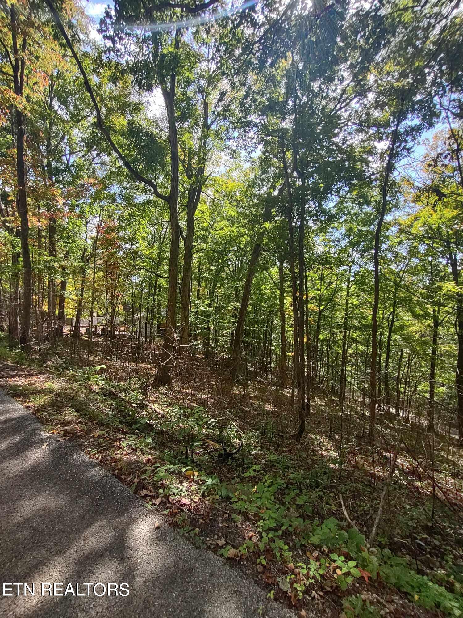 Hueston Wood Lane Property Photo 9
