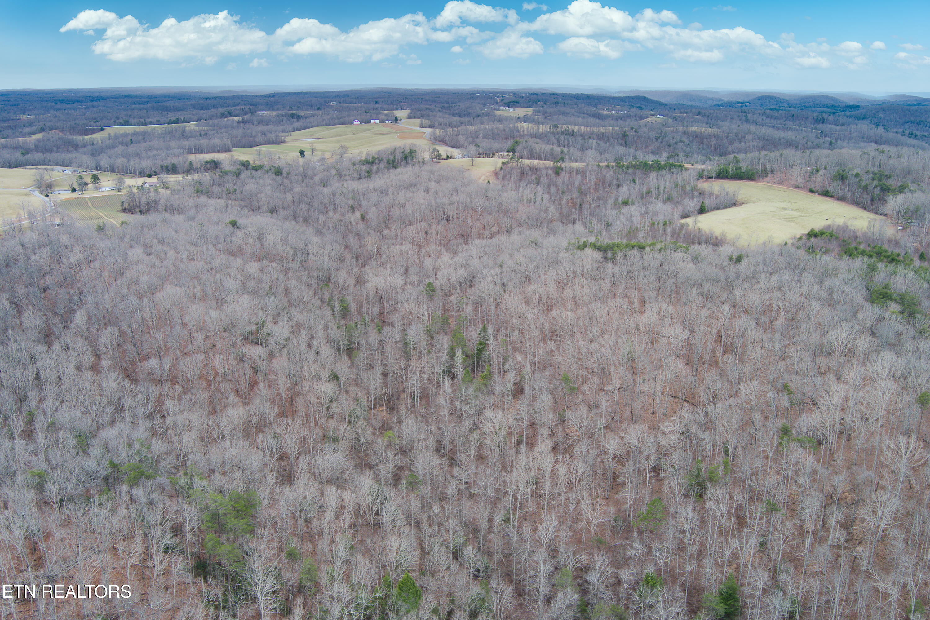 68 Acres Muddy Pond Rd Property Photo 2