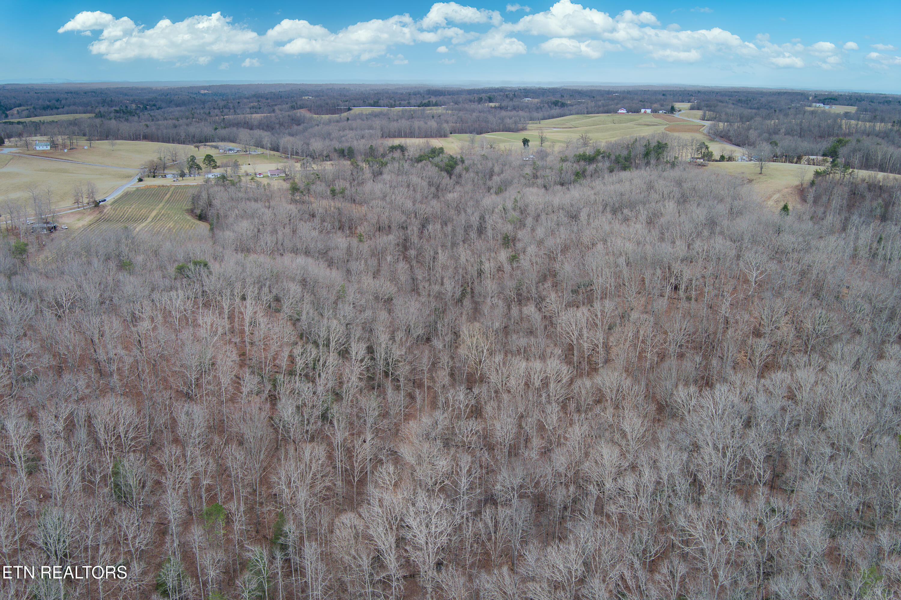 68 Acres Muddy Pond Rd Property Photo 3