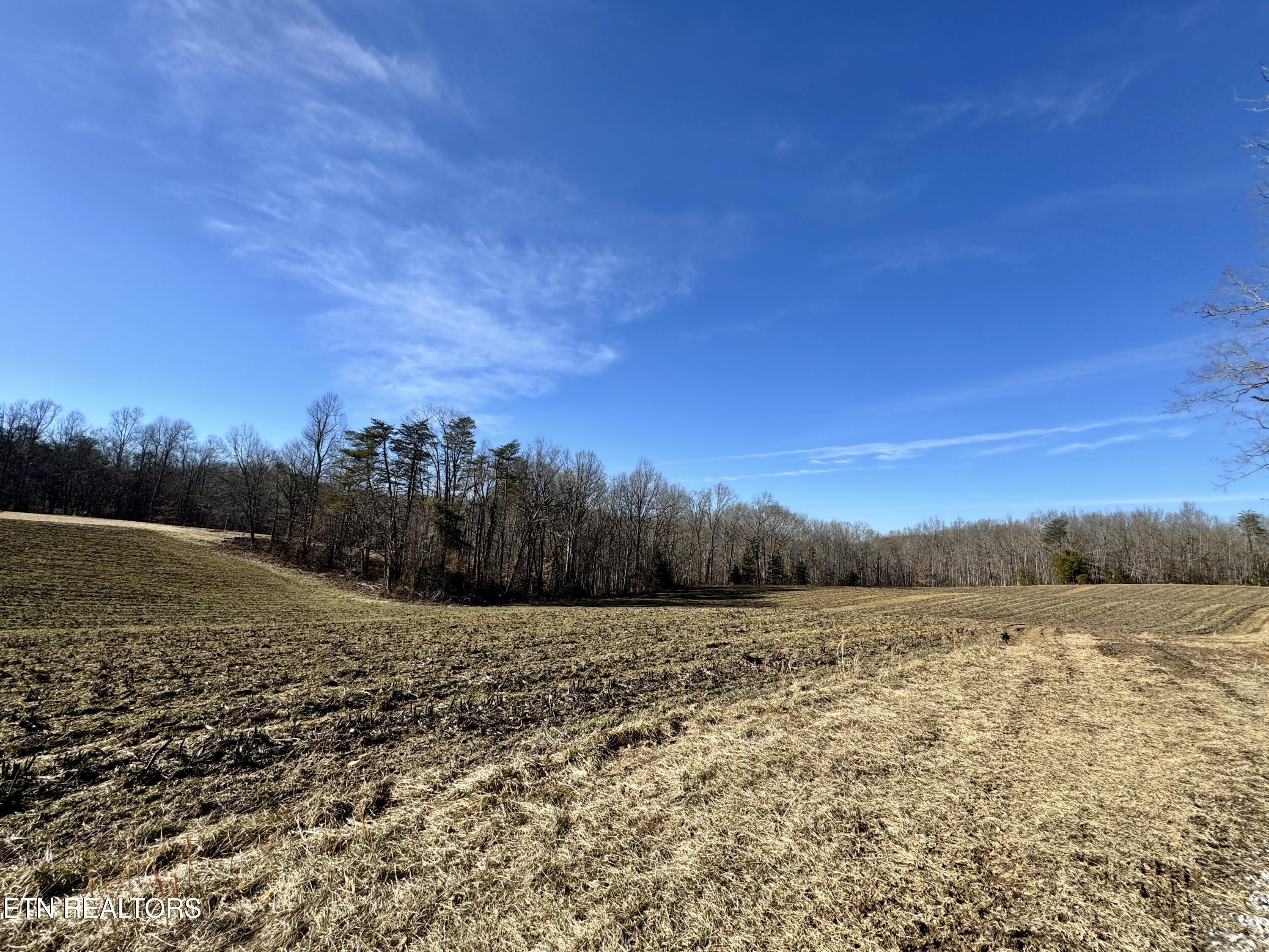68 Acres Muddy Pond Rd Property Photo 6