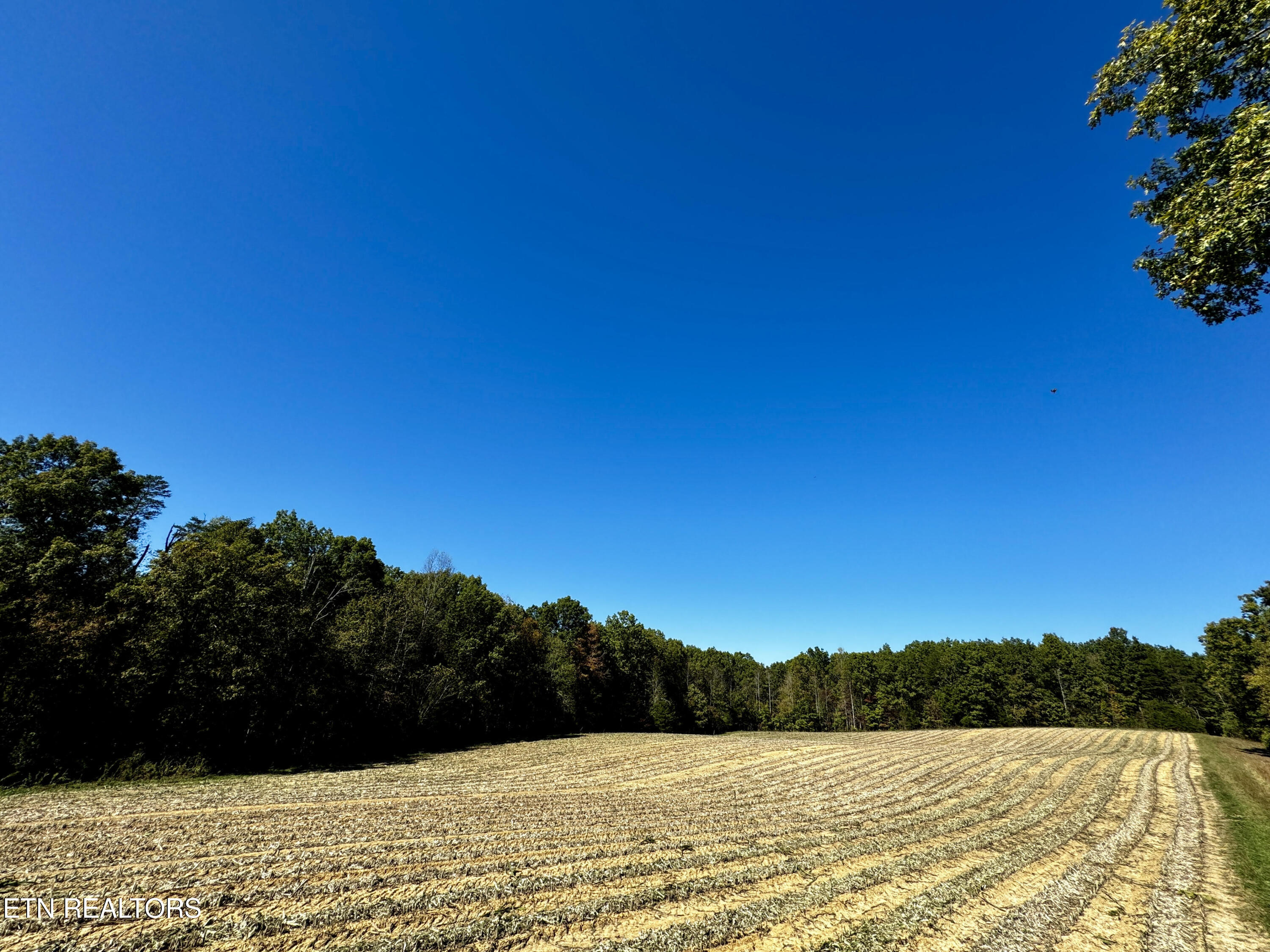 68 Acres Muddy Pond Rd Property Photo 9