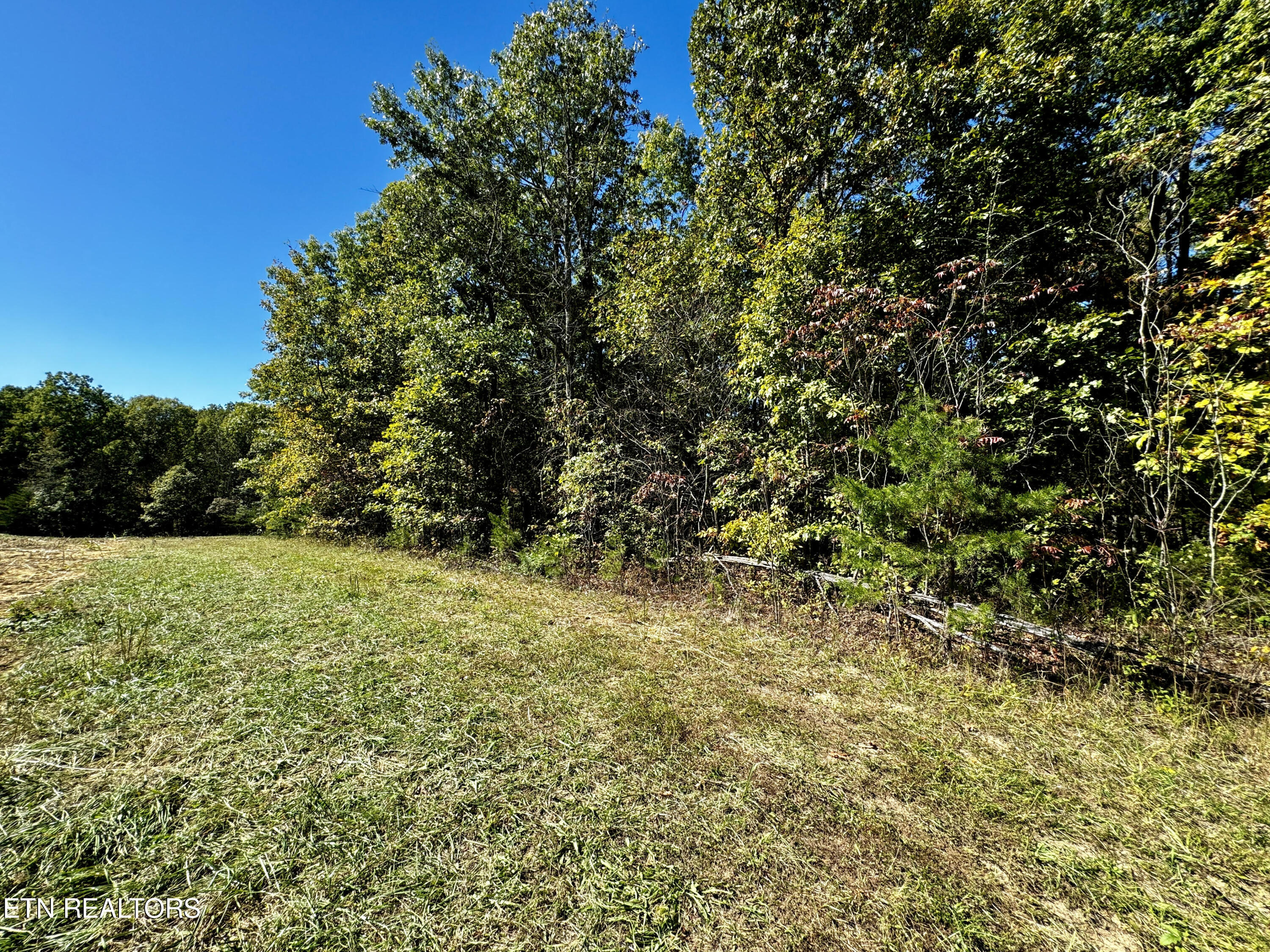 68 Acres Muddy Pond Rd Property Photo 10