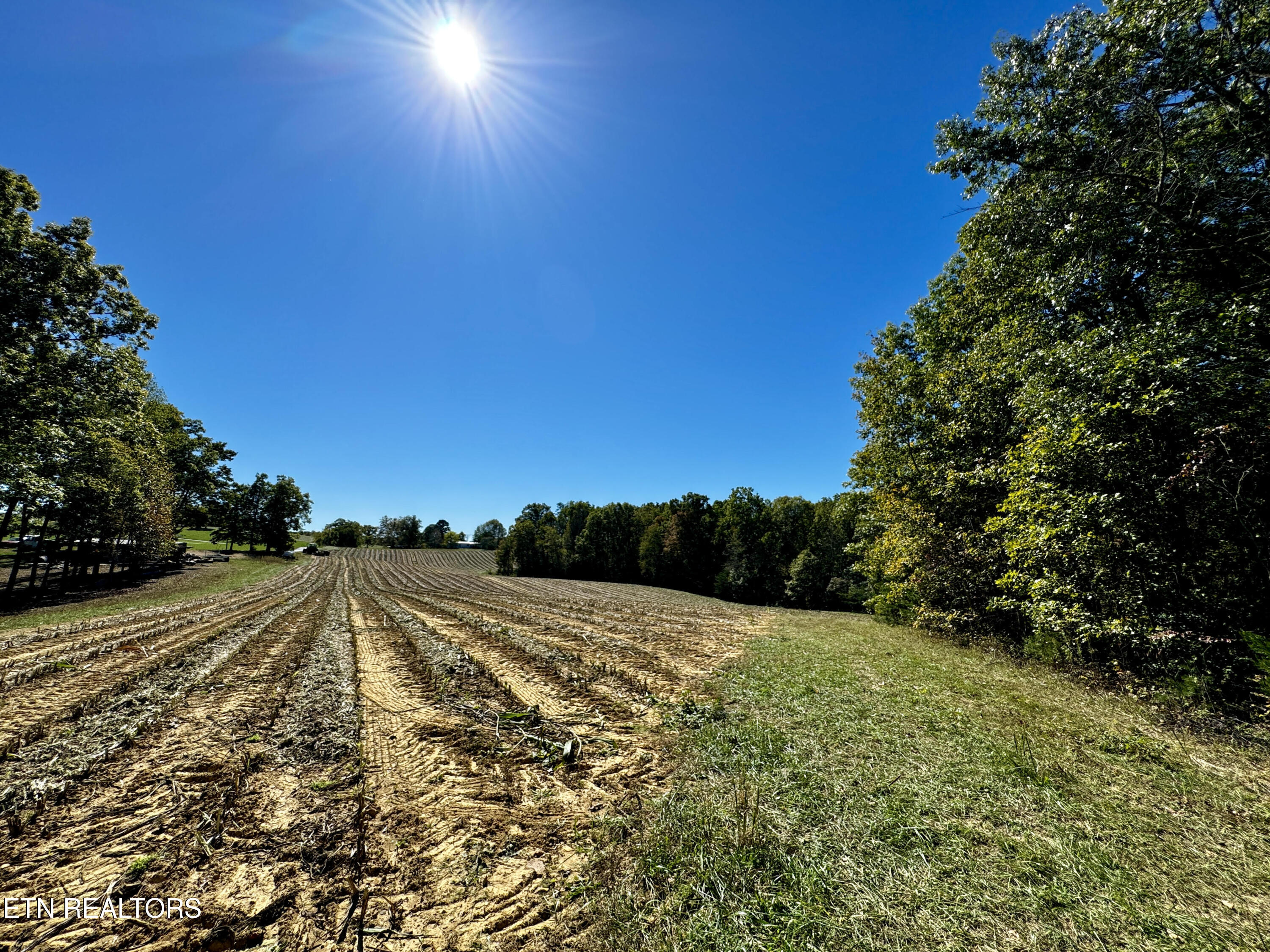 68 Acres Muddy Pond Rd Property Photo 11