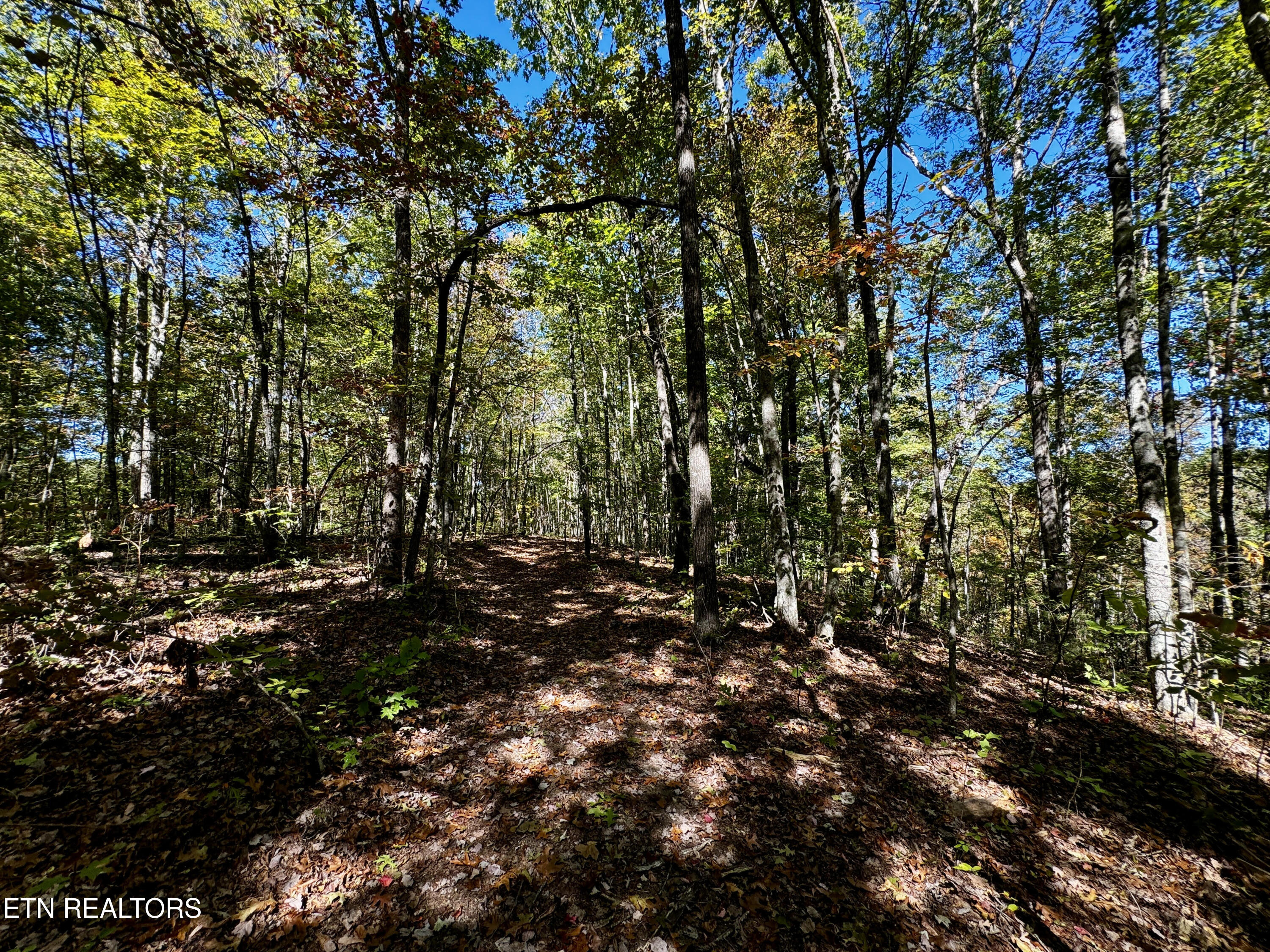 68 Acres Muddy Pond Rd Property Photo 12