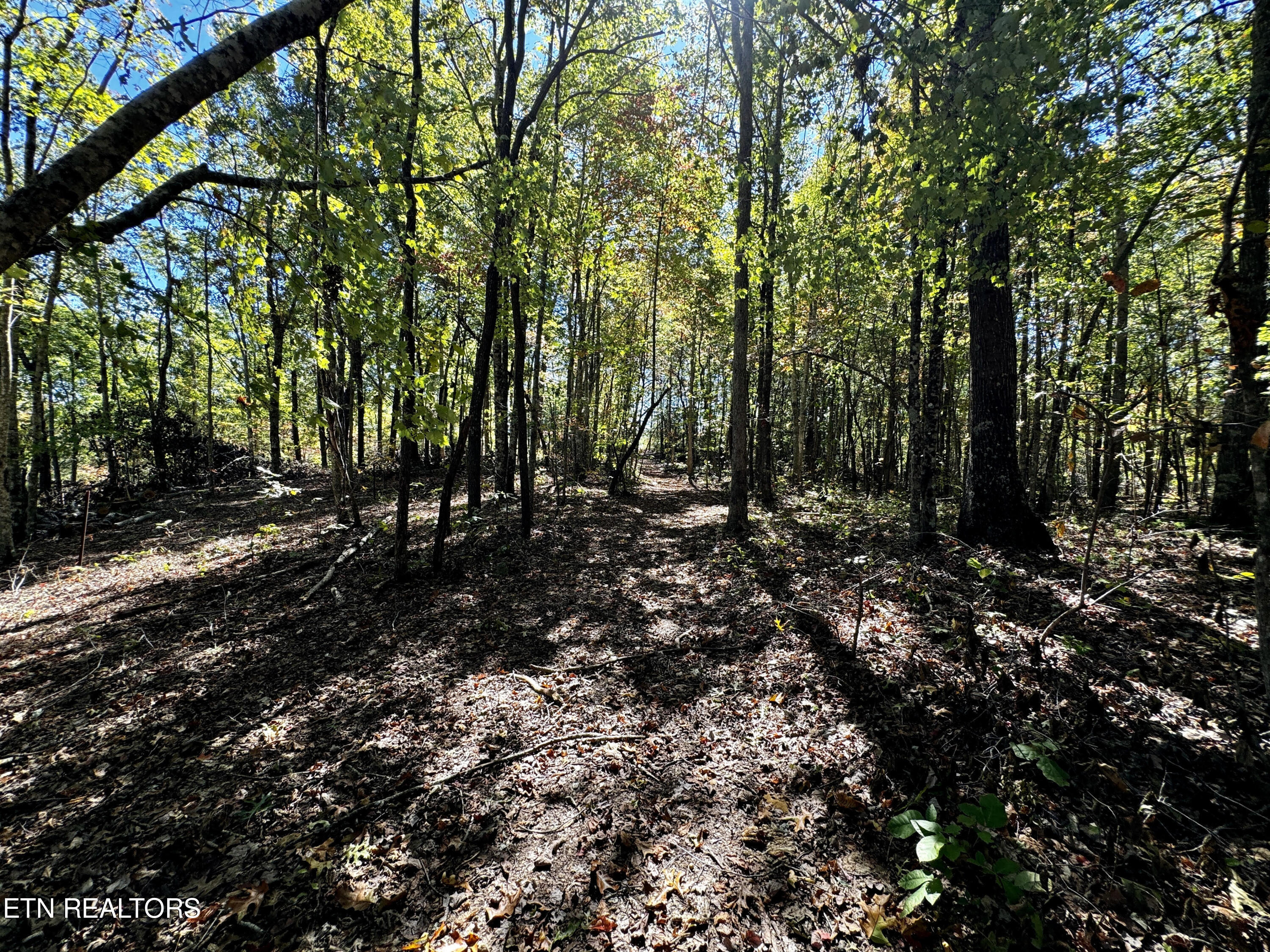 68 Acres Muddy Pond Rd Property Photo 16