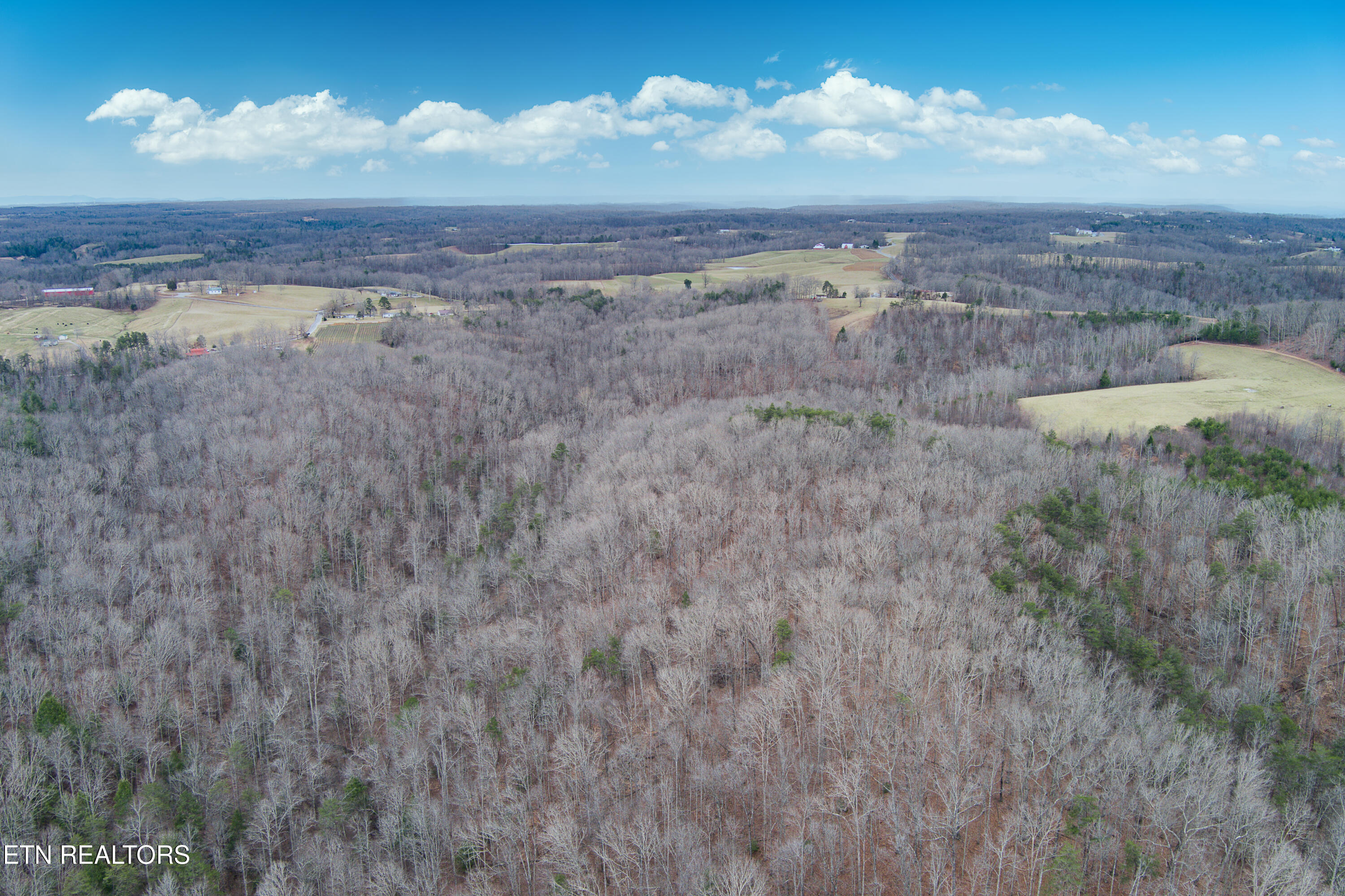 68 Acres Muddy Pond Rd Property Photo 17