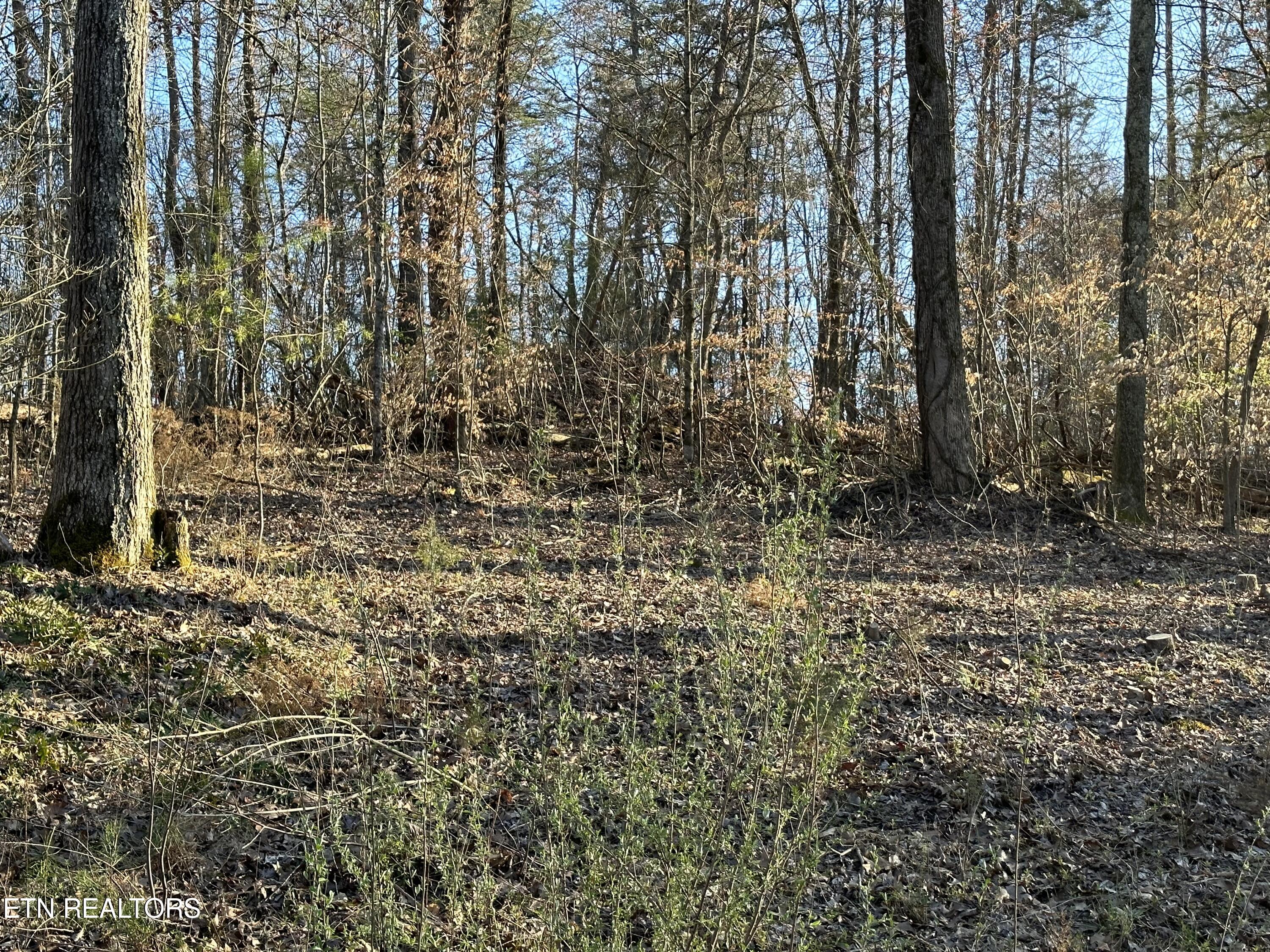 2353 Dave Smith Rd Property Photo 1