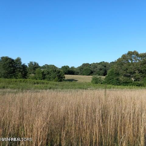 Shadow Mountain Drive Property Photo 1
