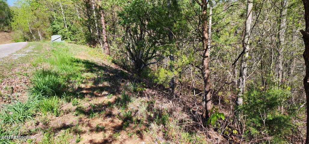 174 Lot Waterside Lane Property Photo 15