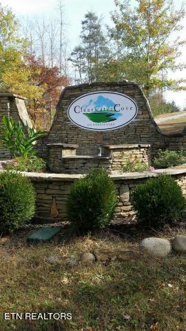 174 Lot Waterside Lane Property Photo 16