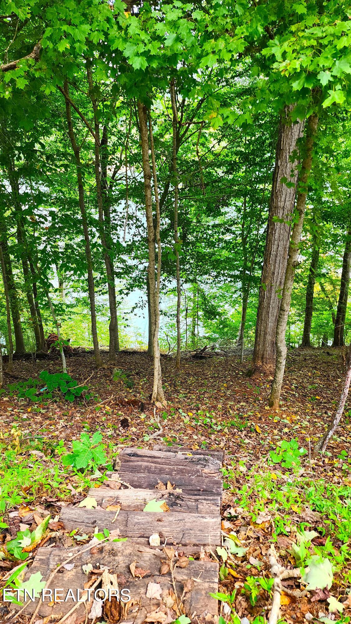 174 Lot Waterside Lane Property Photo 17