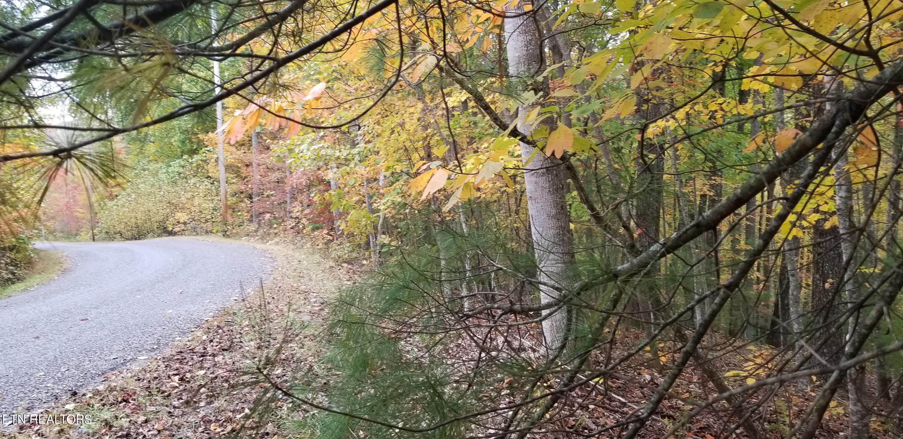 185 Pineridge Loop Property Photo 3