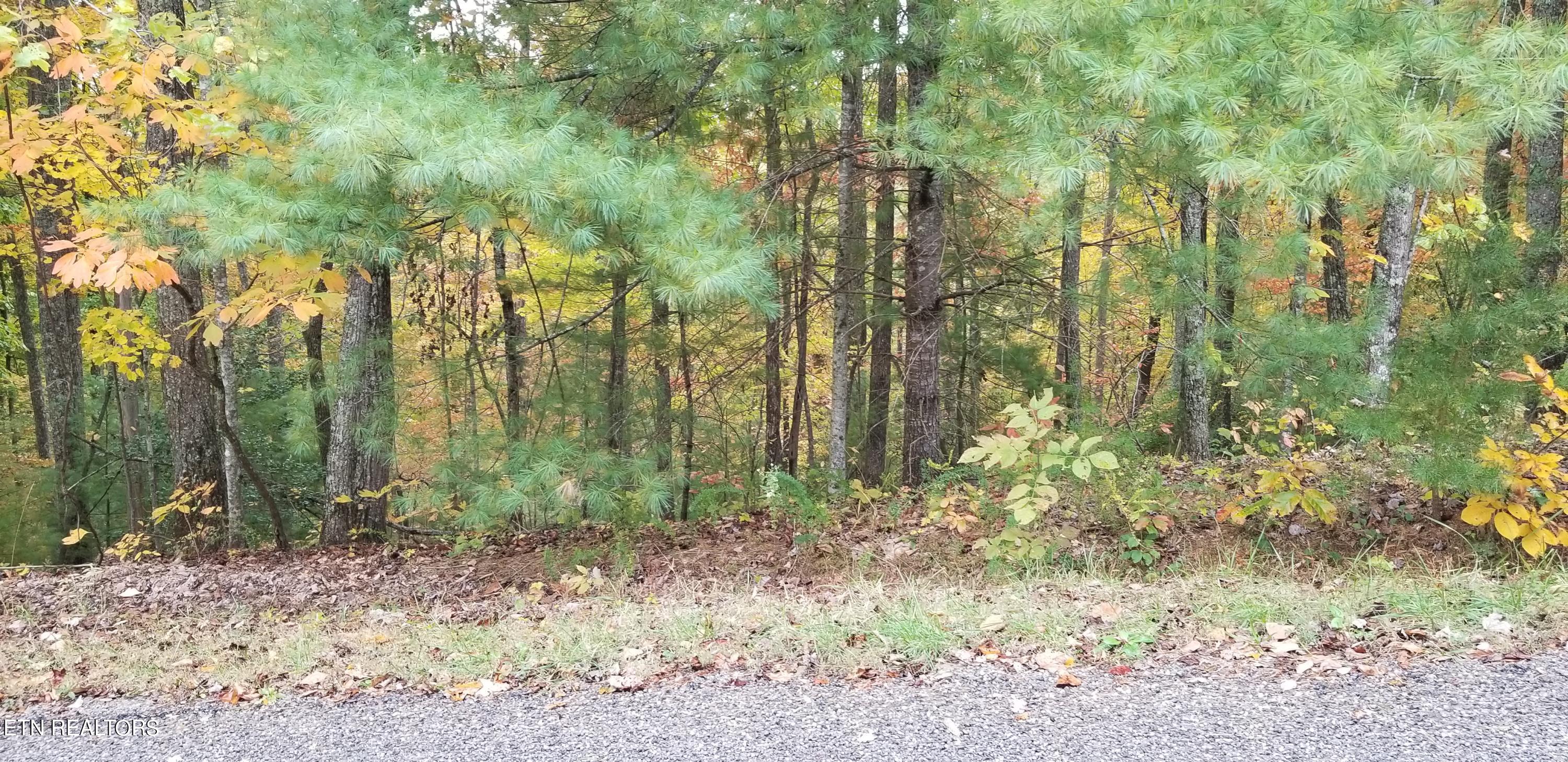 185 Pineridge Loop Property Photo 4