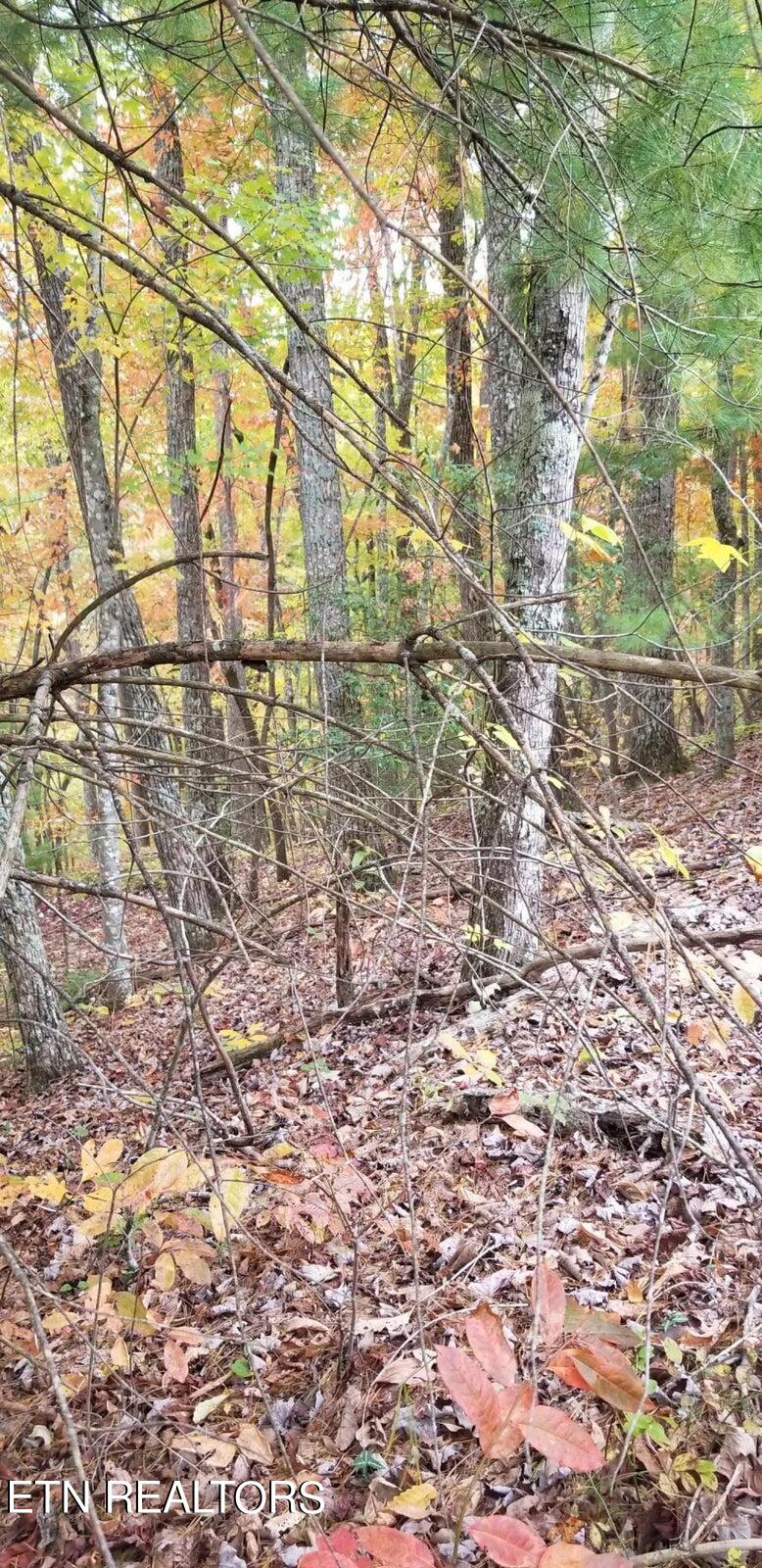 185 Pineridge Loop Property Photo 5