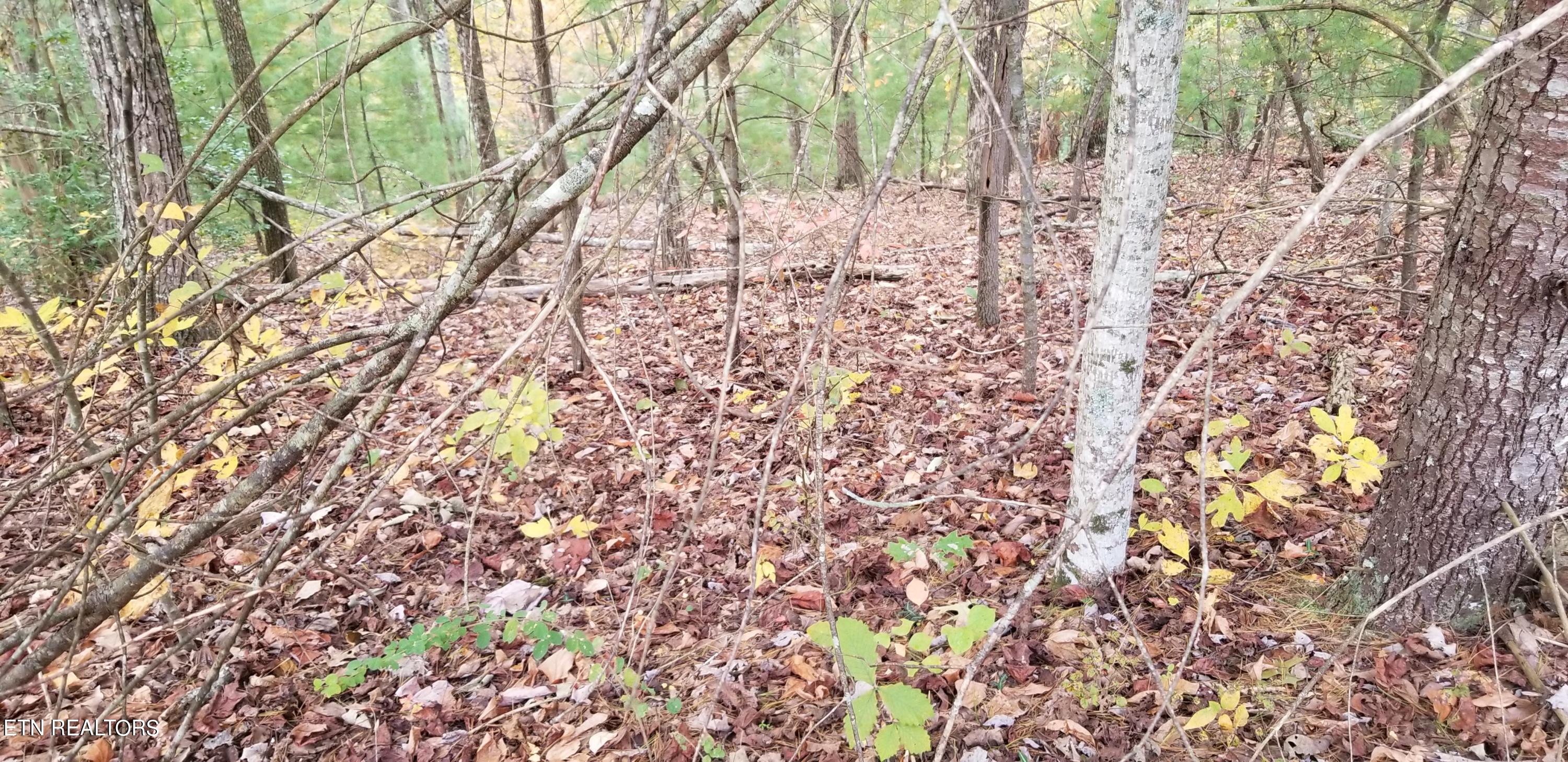 185 Pineridge Loop Property Photo 7