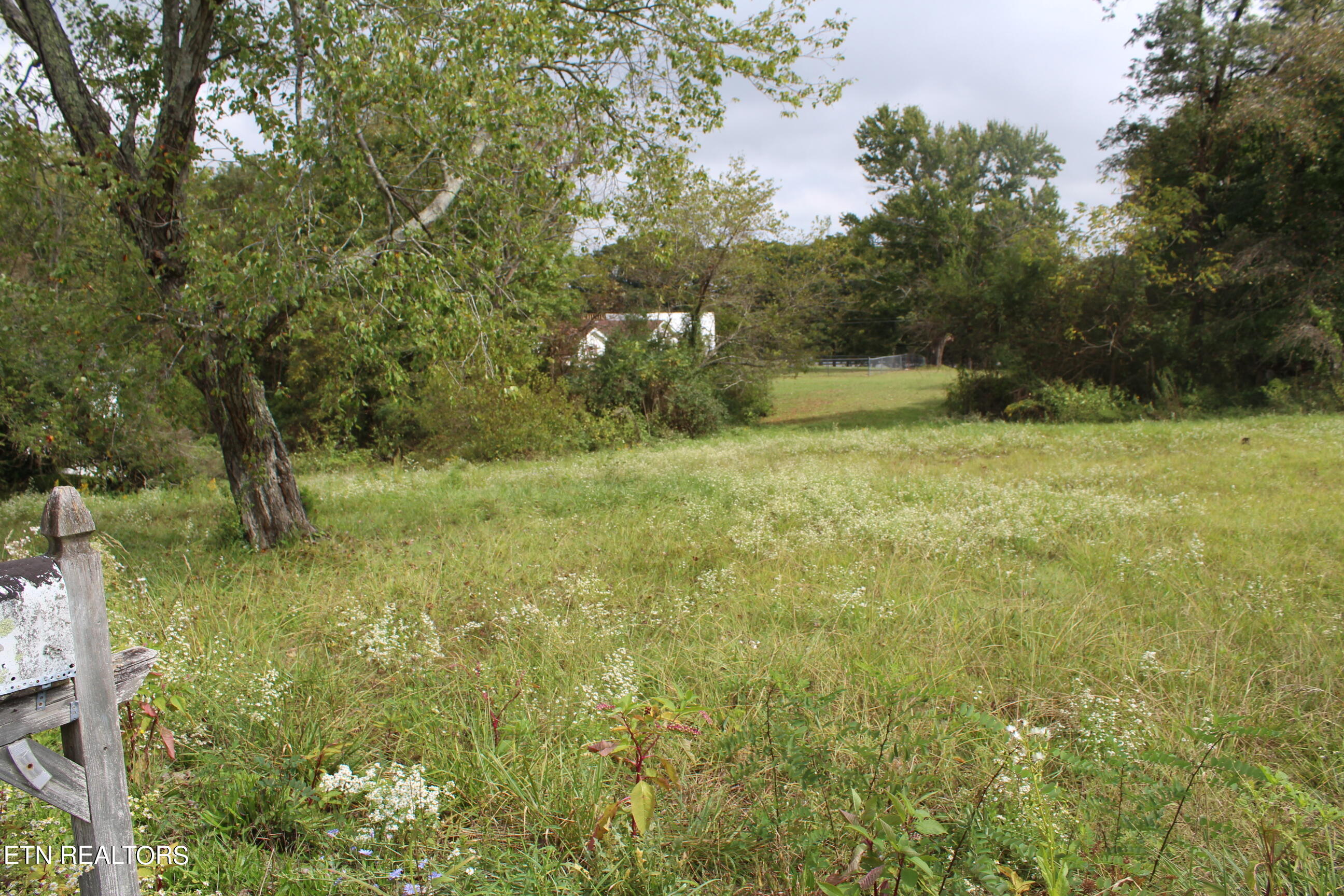 208 Garrett St Property Photo 2