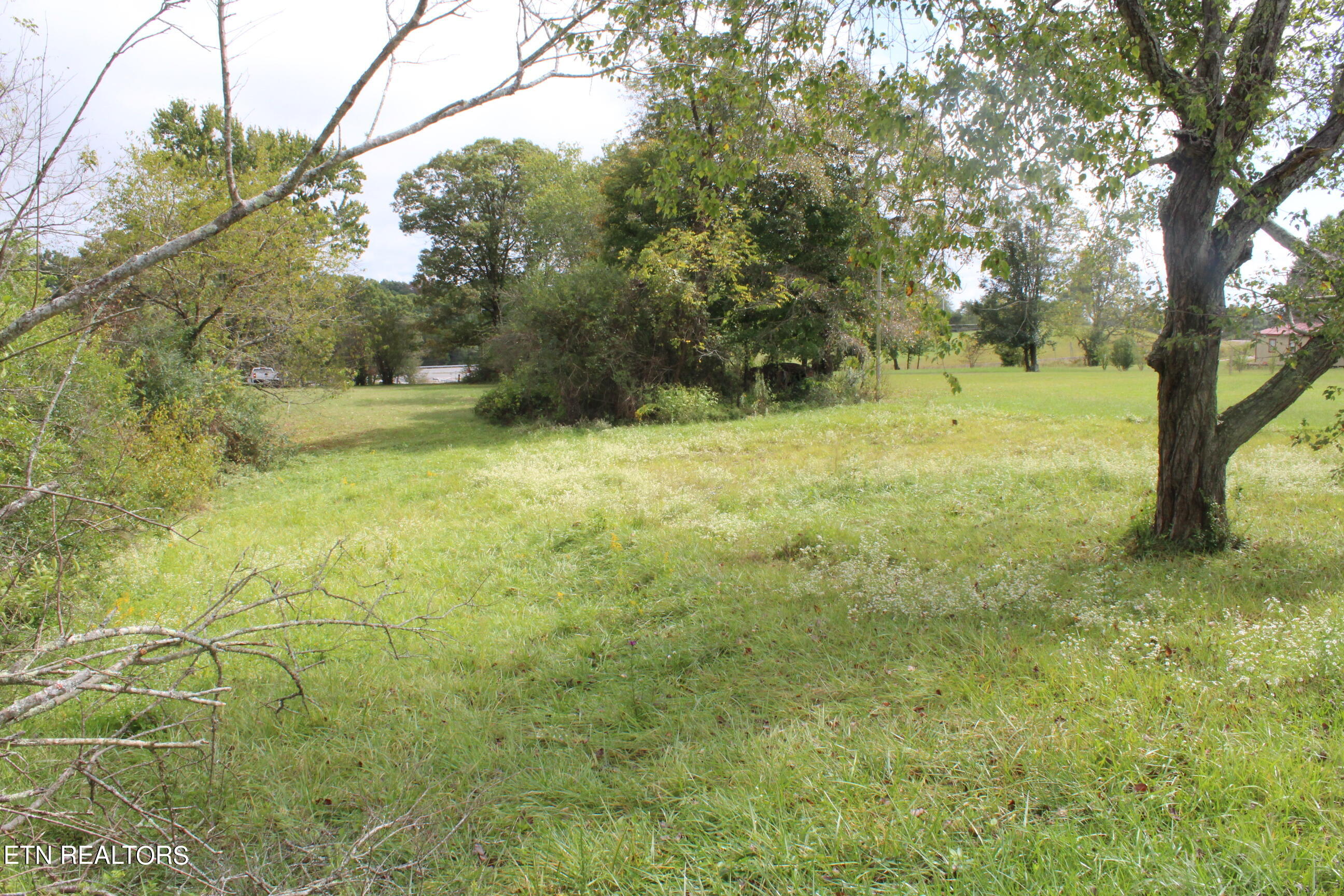 208 Garrett St Property Photo 3