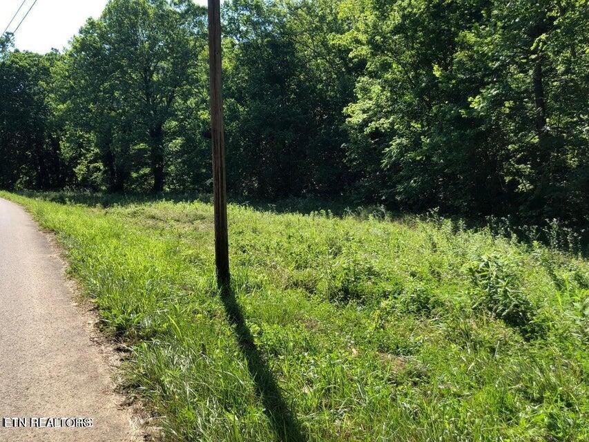 Tbd Jackson Hollow Rd Property Photo 3