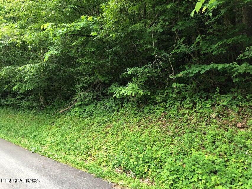 Tbd Jackson Hollow Rd Property Photo 5