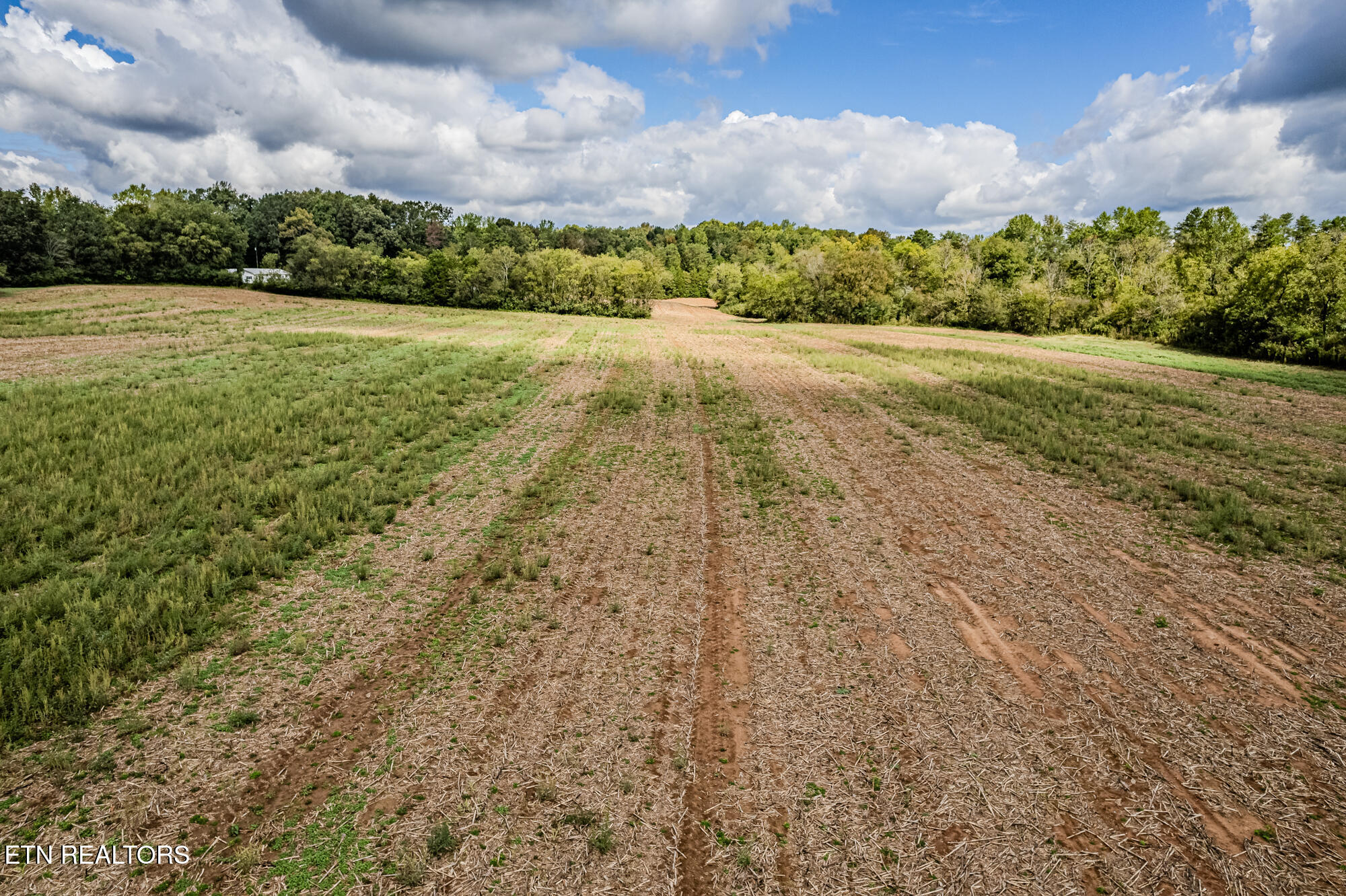 County Road 885 Property Photo 5