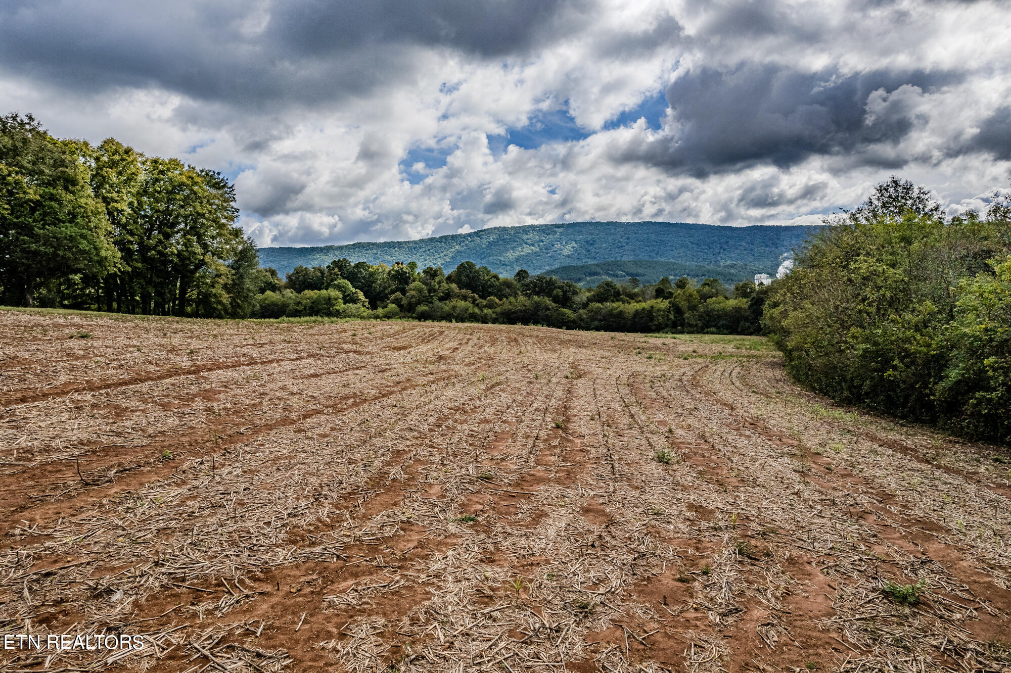 County Road 885 Property Photo 12